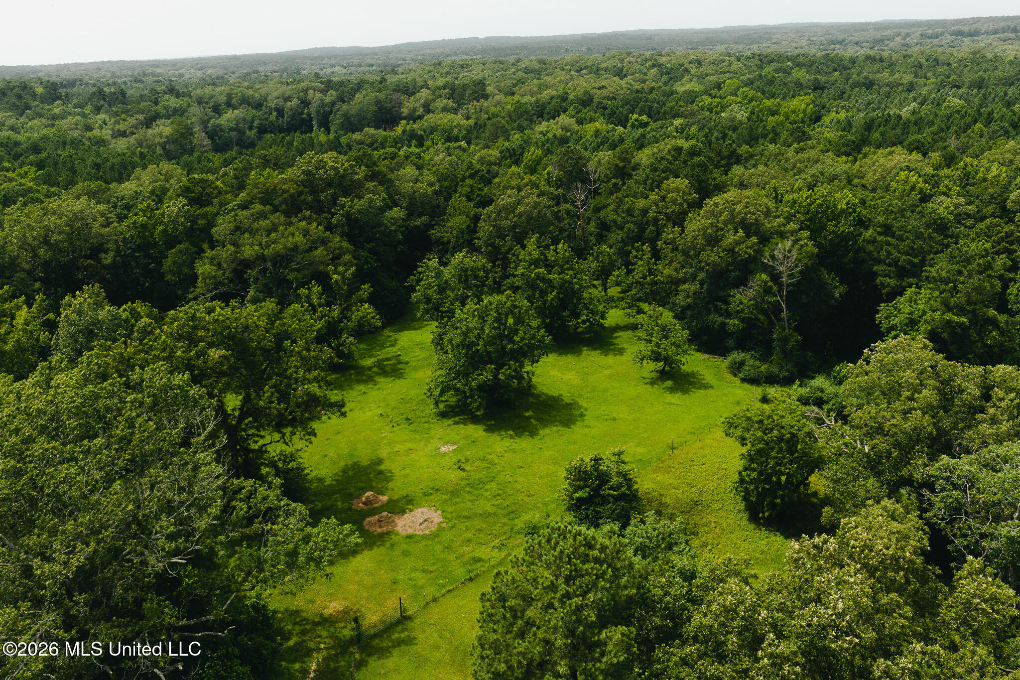 2139 Warren Hood Road Property Photo 85