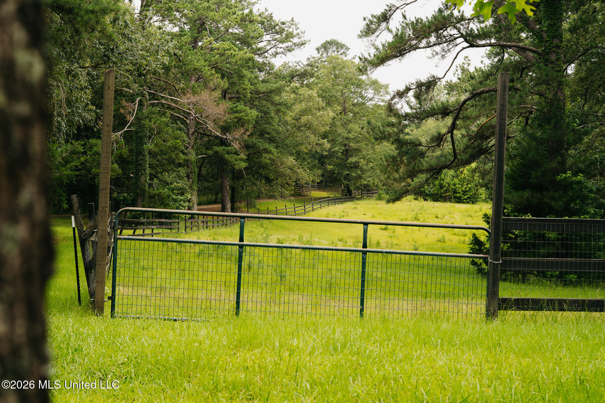 2139 Warren Hood Road Property Photo 91