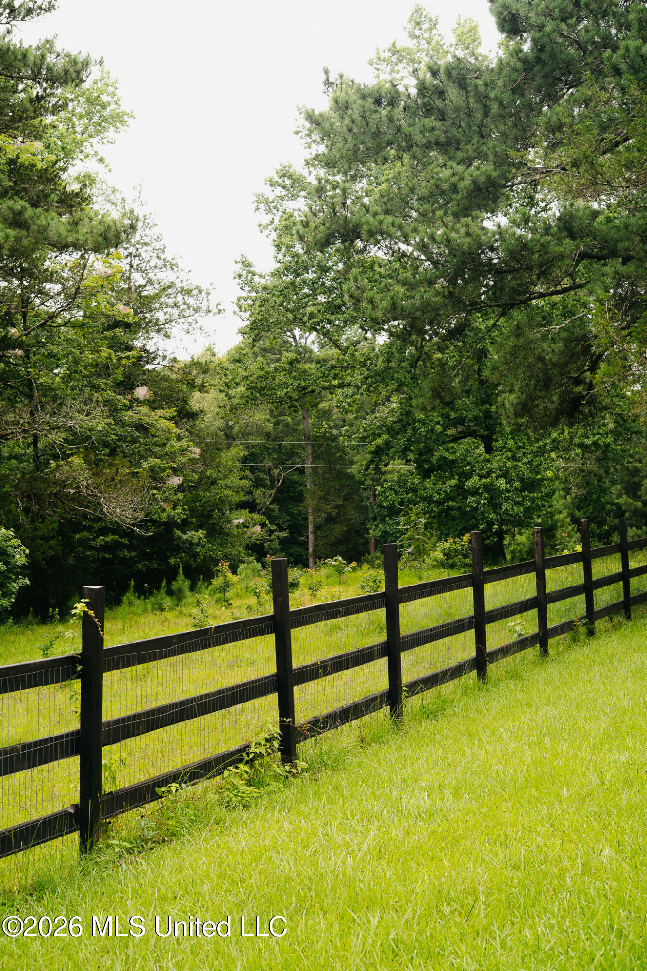 2139 Warren Hood Road Property Photo 92