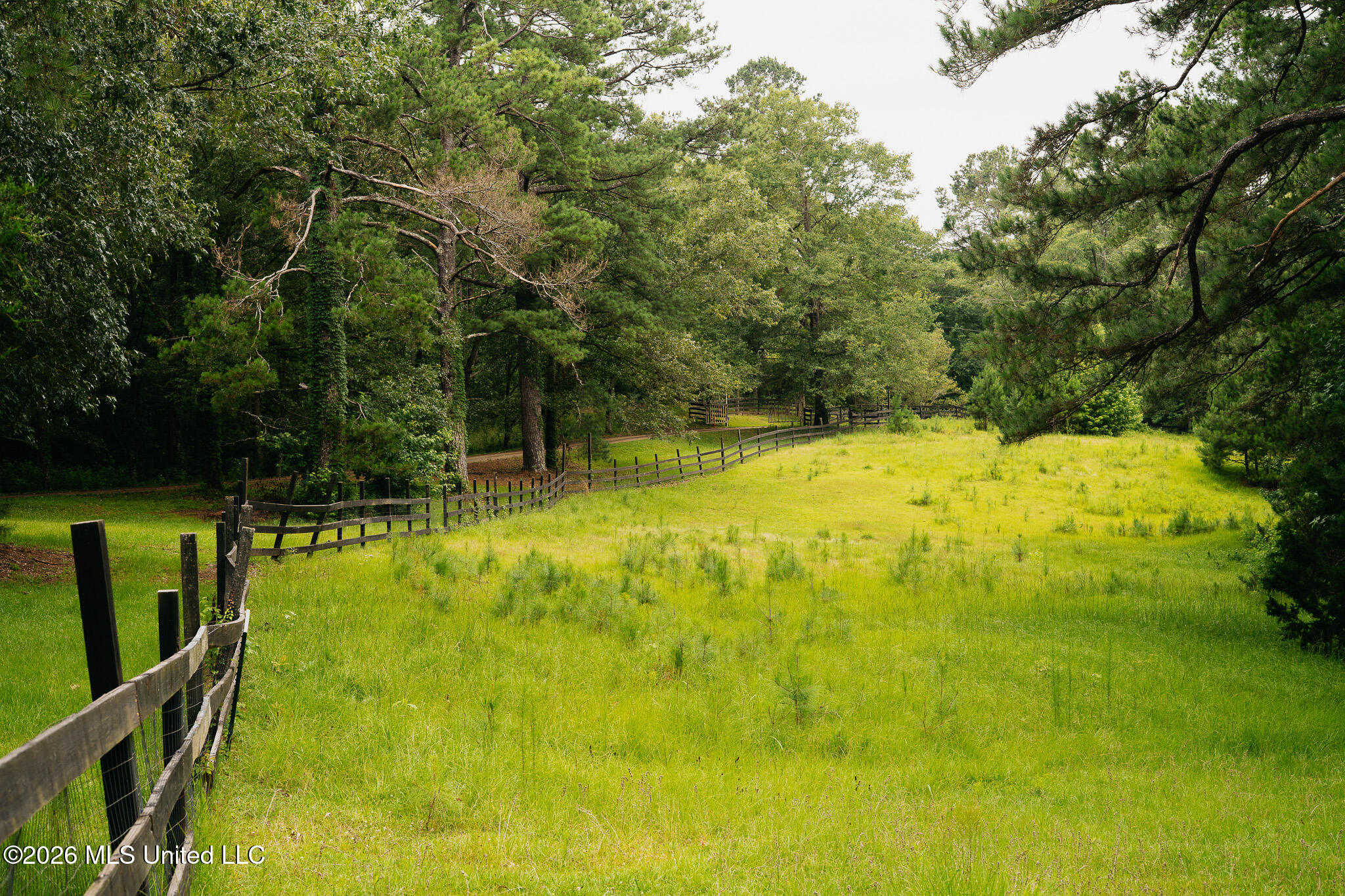 2139 Warren Hood Road Property Photo 93