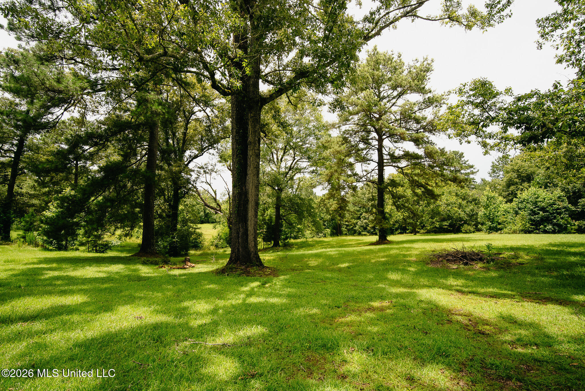 2139 Warren Hood Road Property Photo 98