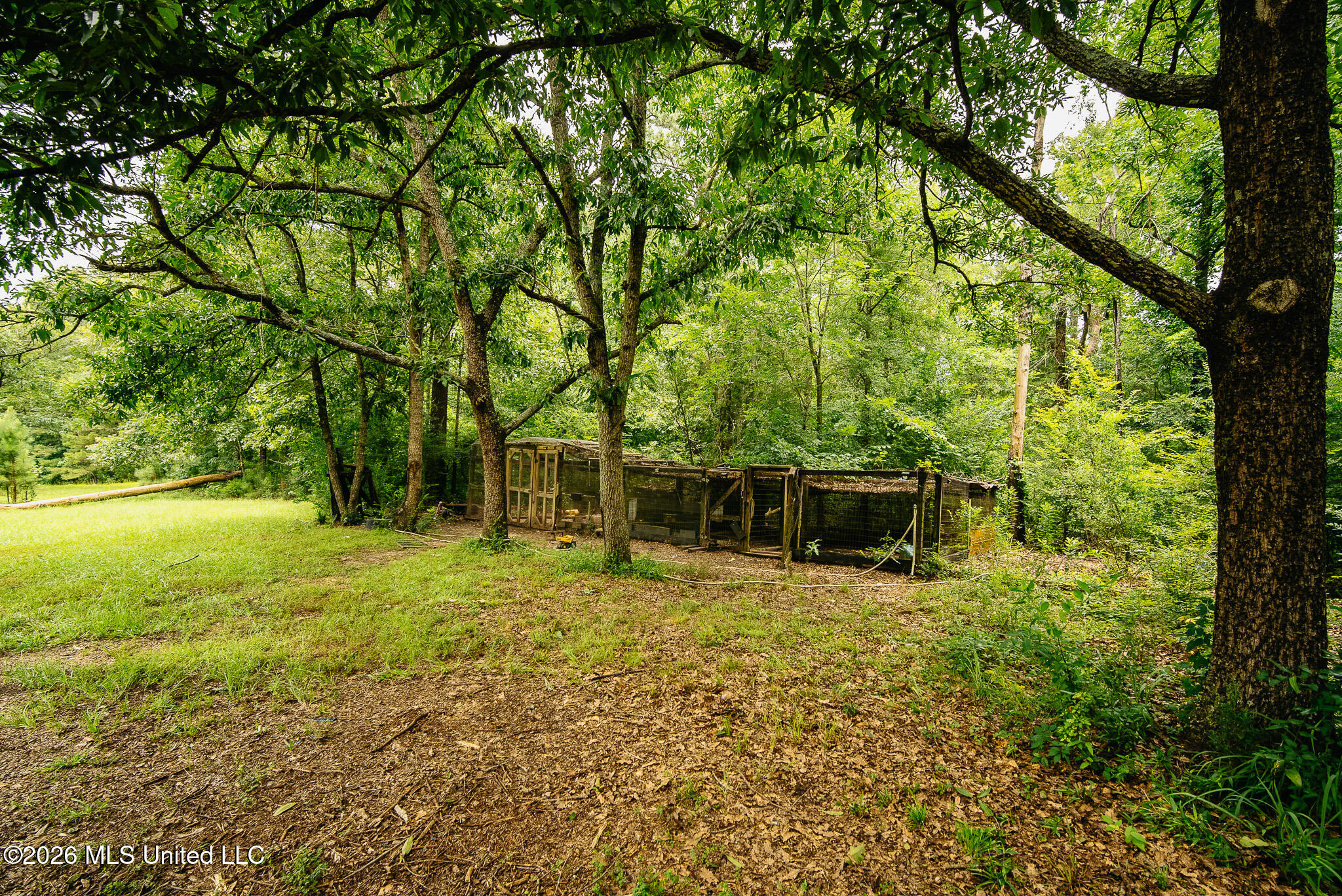 2139 Warren Hood Road Property Photo 108