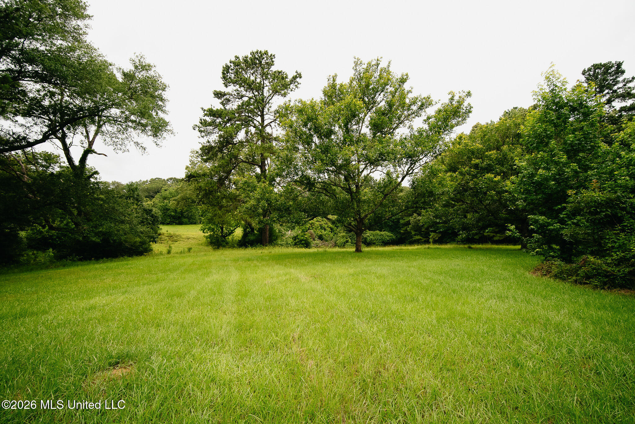 2139 Warren Hood Road Property Photo 109