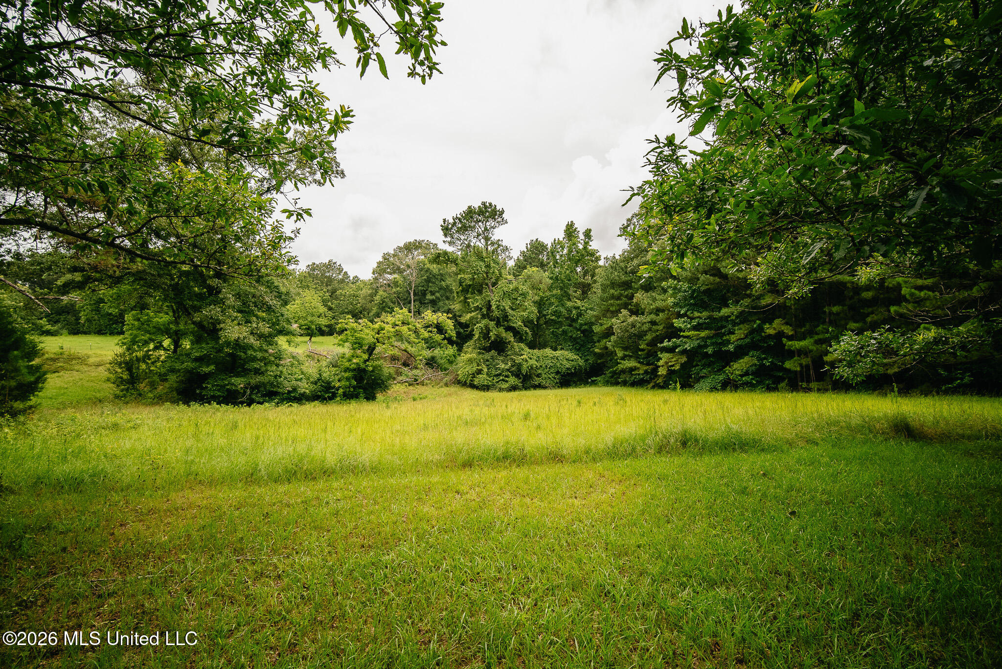 2139 Warren Hood Road Property Photo 110