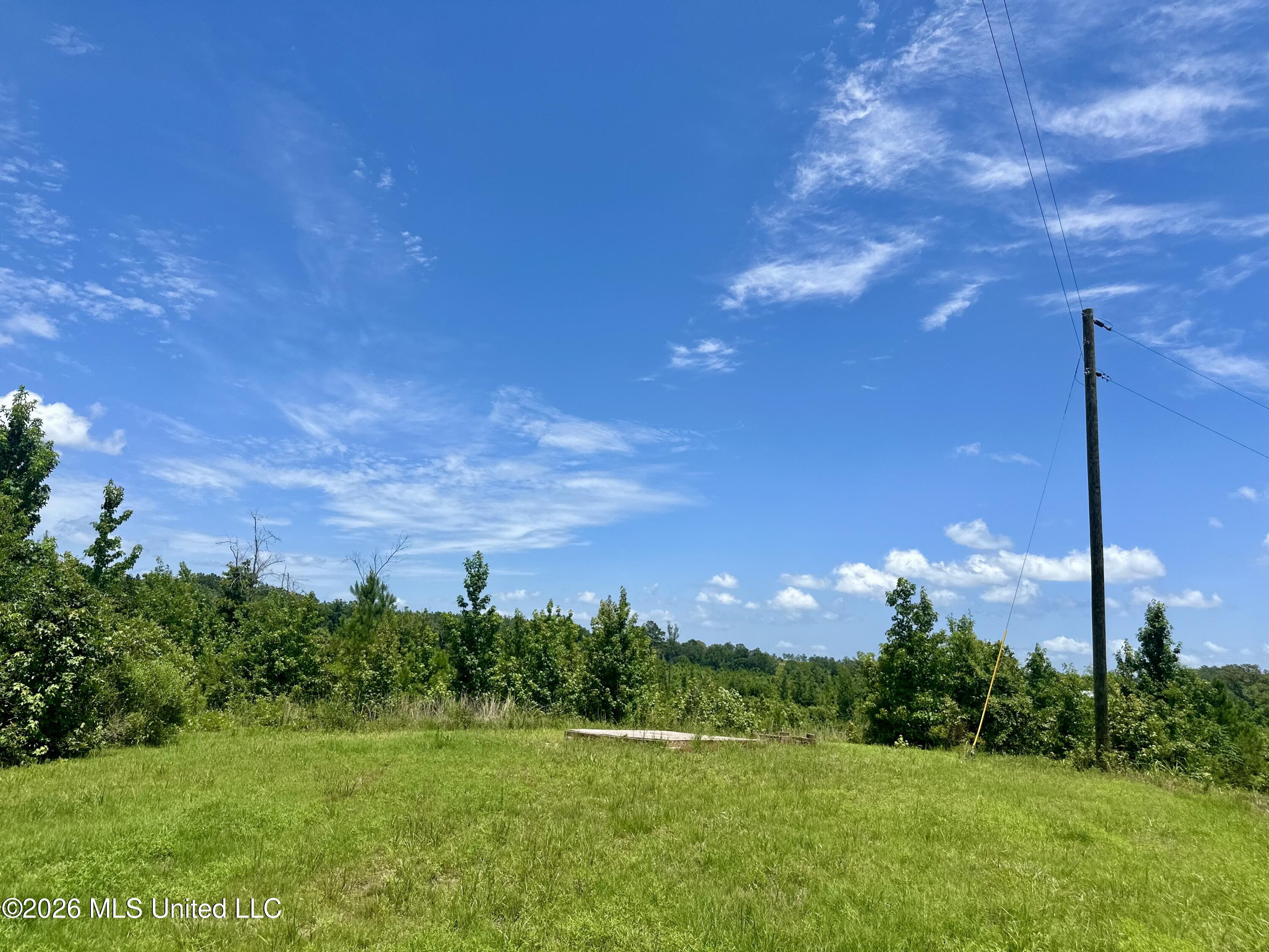3390 Attala Road 3027 Property Photo 4