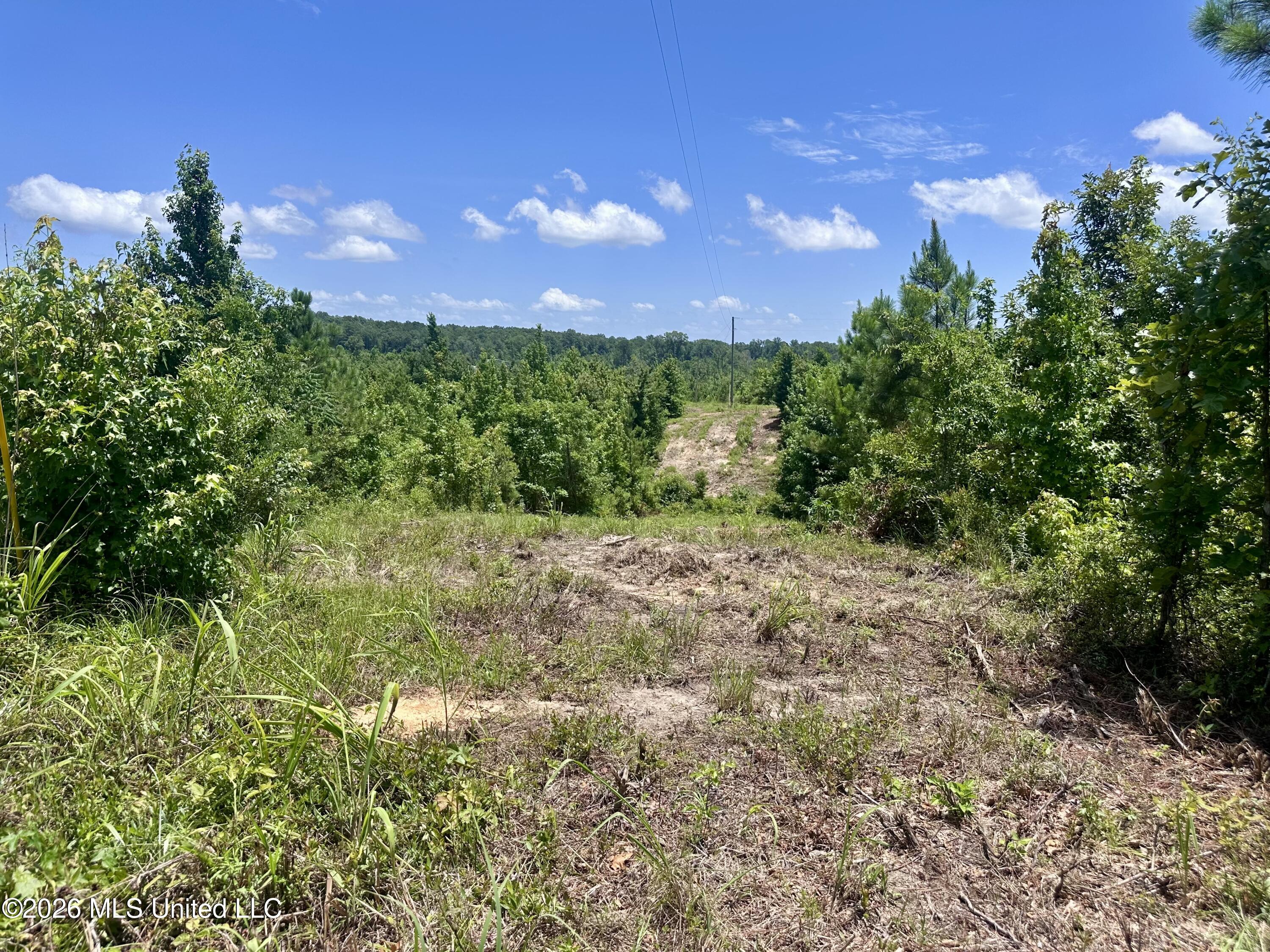 3390 Attala Road 3027 Property Photo 5