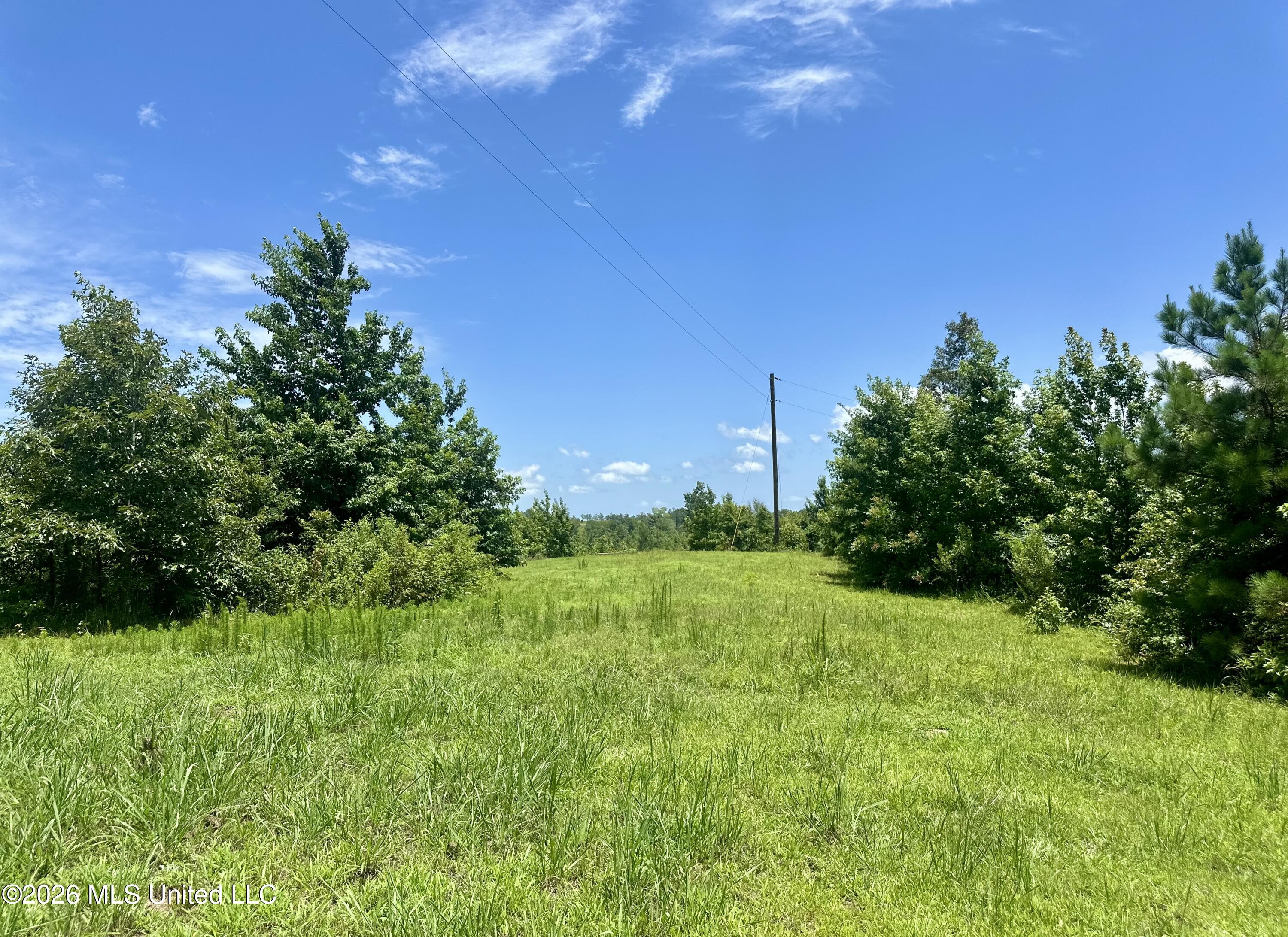 3390 Attala Road 3027 Property Photo 6