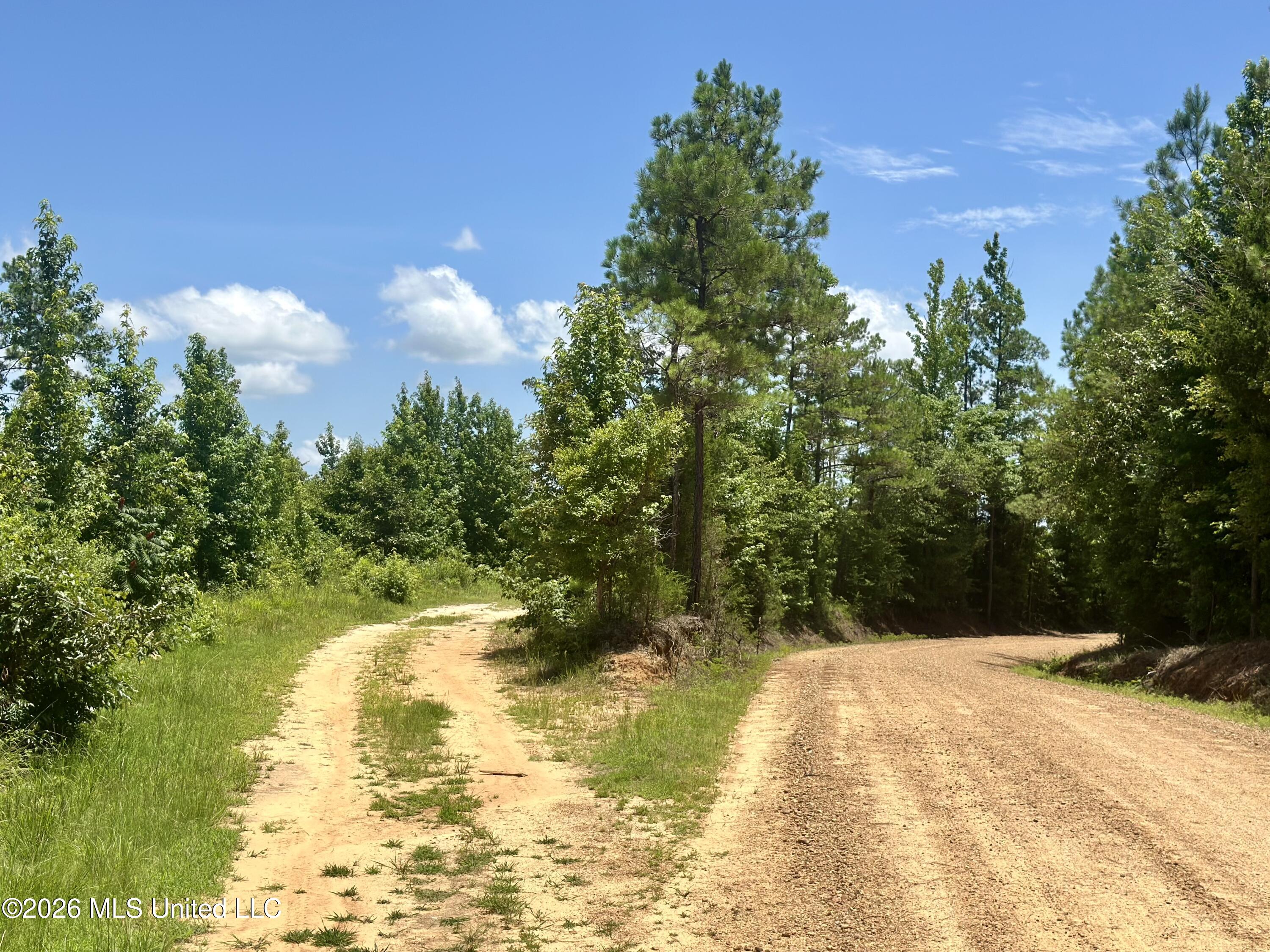 3390 Attala Road 3027 Property Photo 8