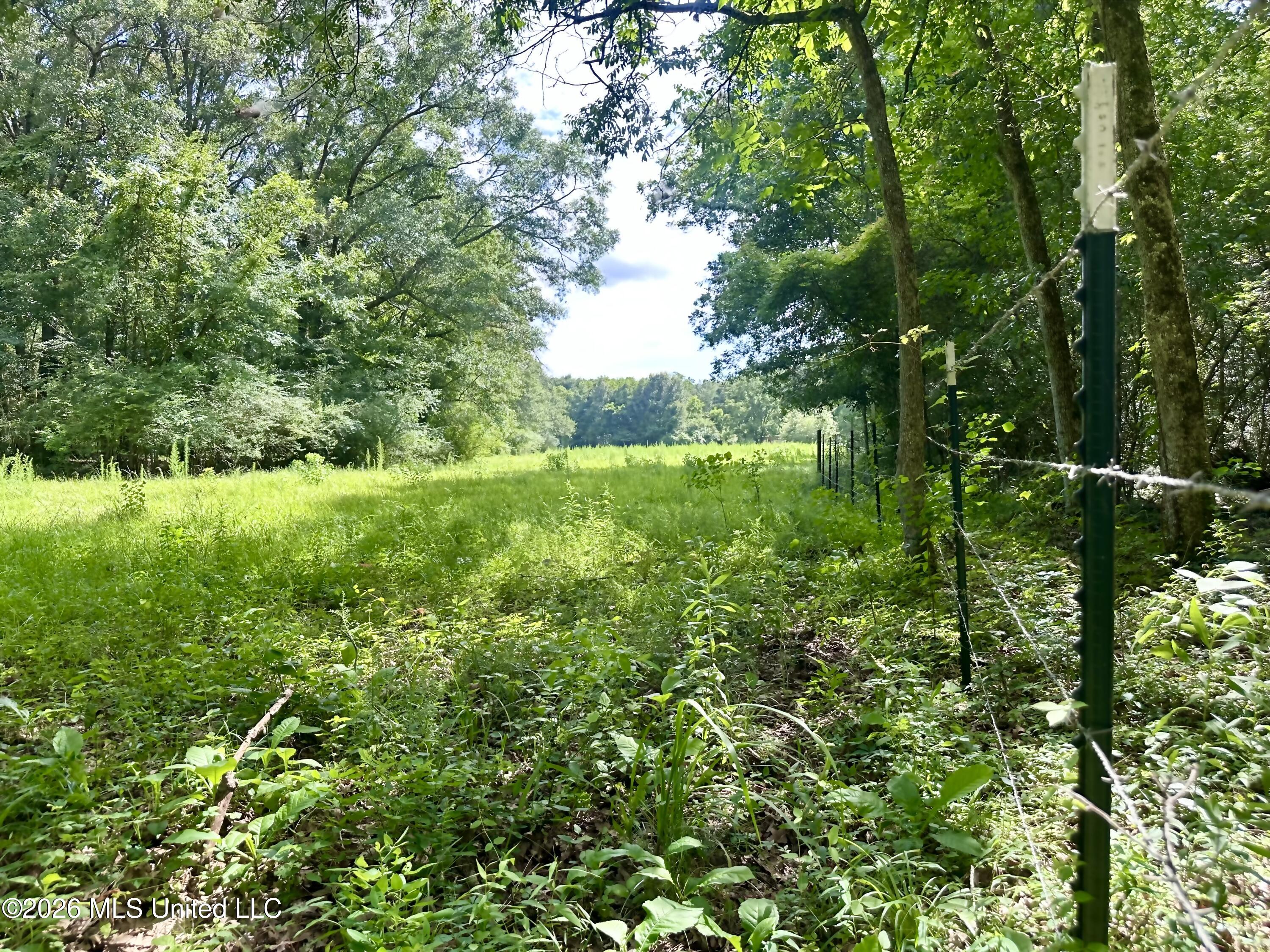 Lexington Road Property Photo 7