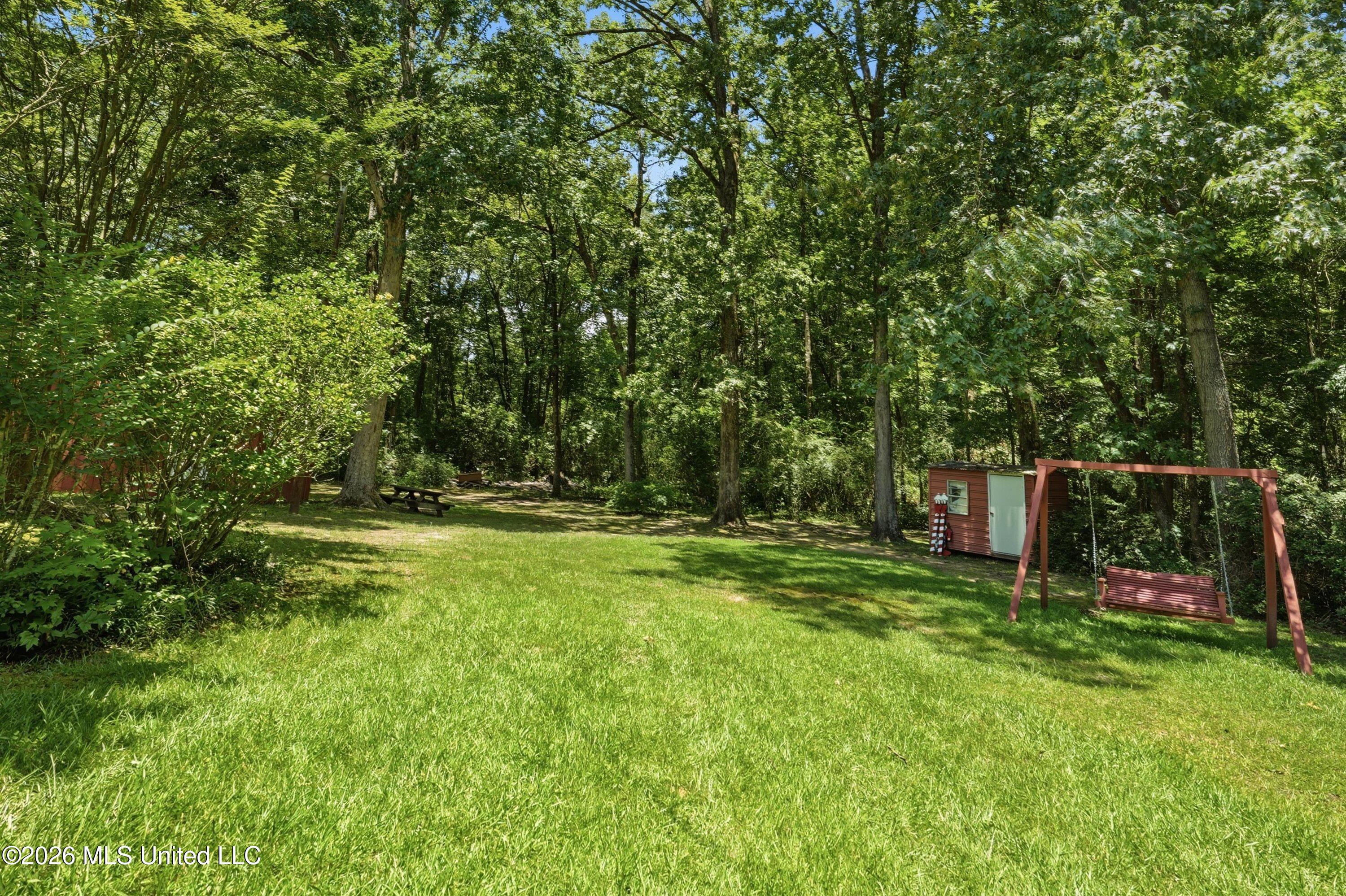 3073 Highway 483 Property Photo 40