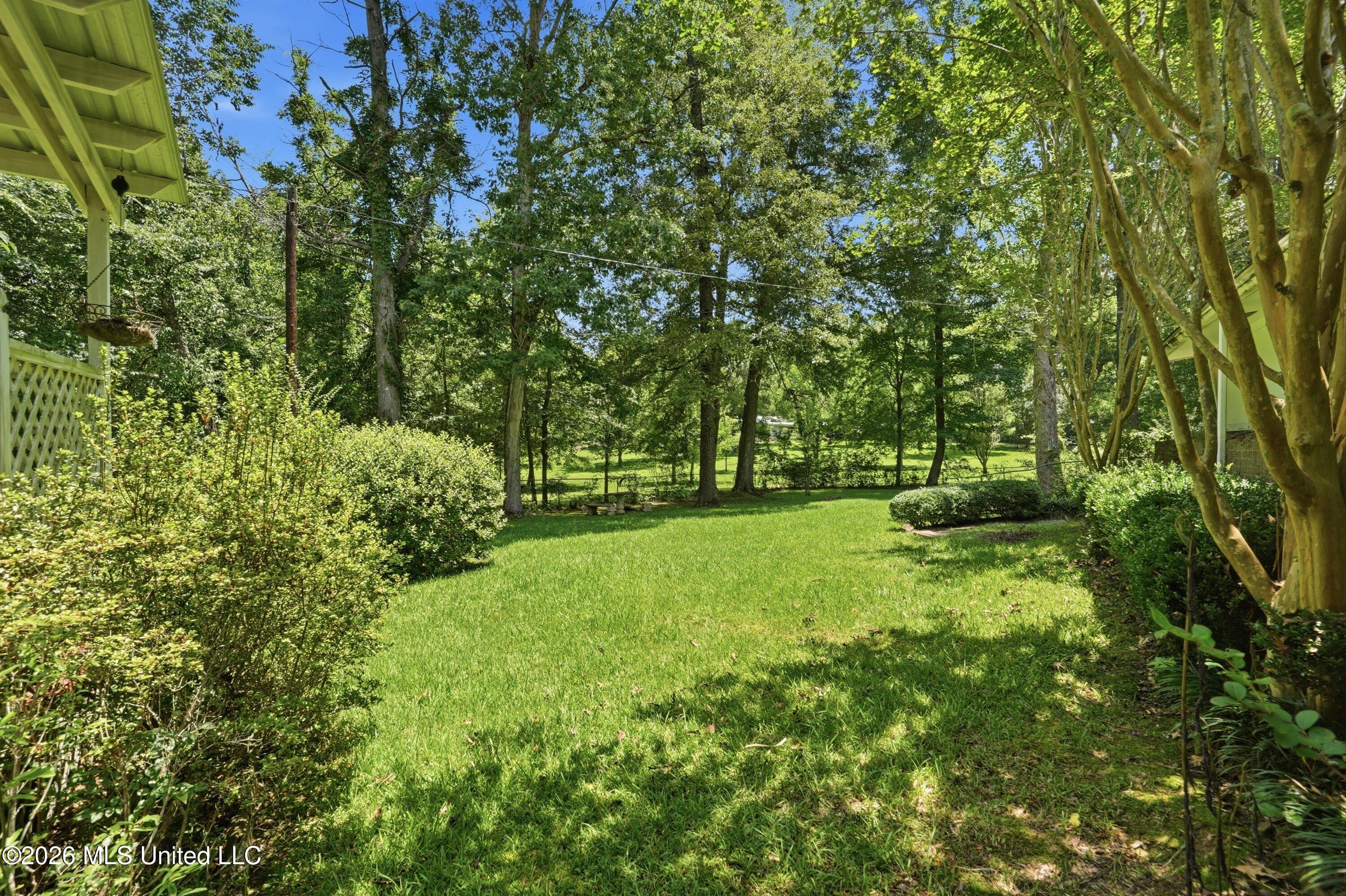 3073 Highway 483 Property Photo 43