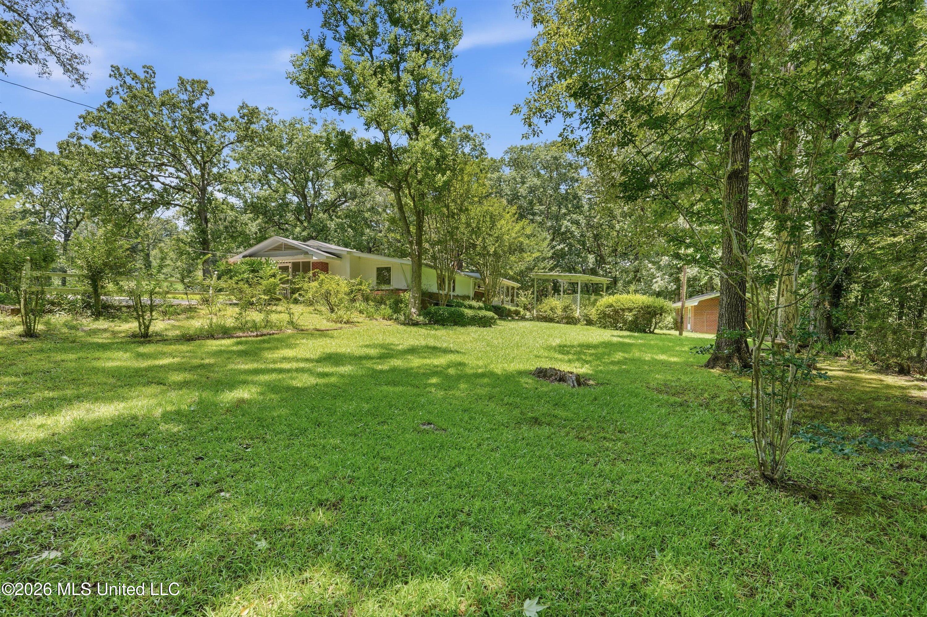 3073 Highway 483 Property Photo 44