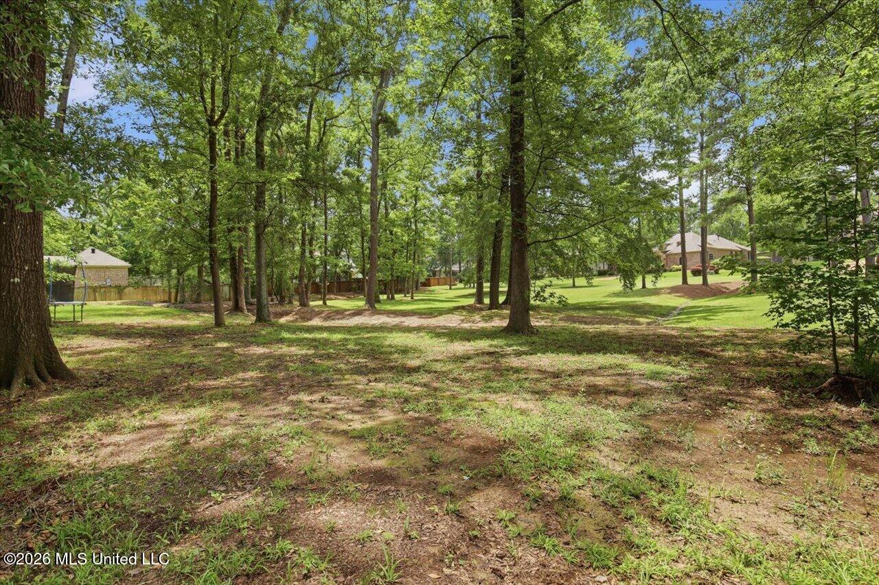 460 Pembrooke Drive Property Photo 74