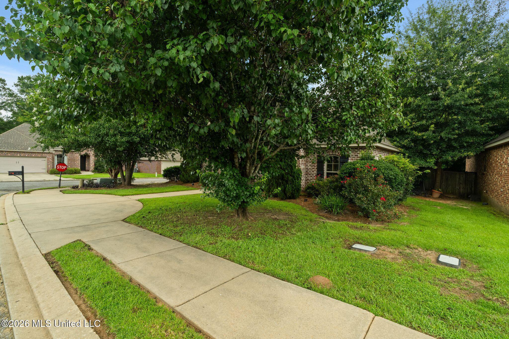 88 Avondale Circle Property Photo 4
