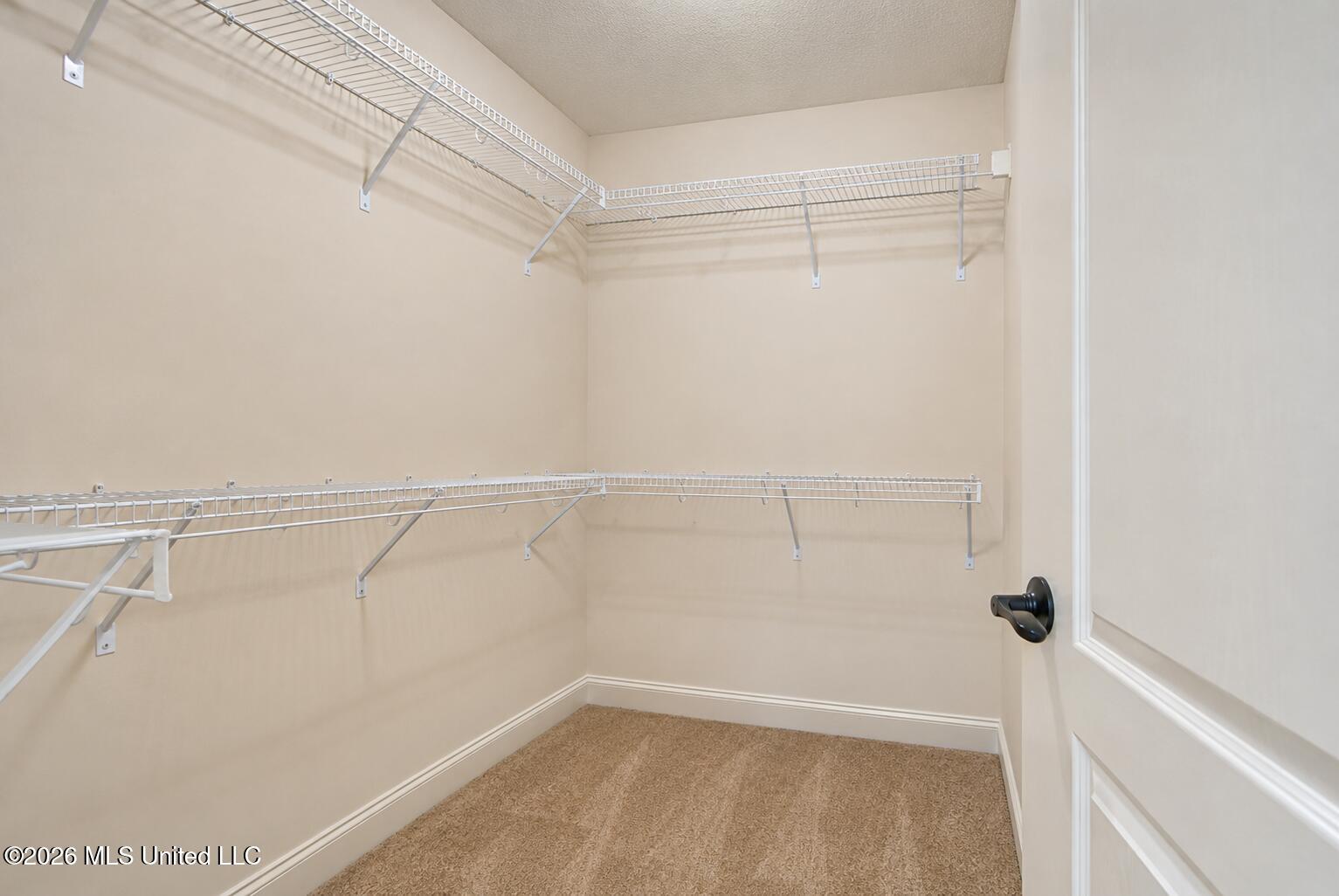 5854 Foxdale Loop Property Photo 16