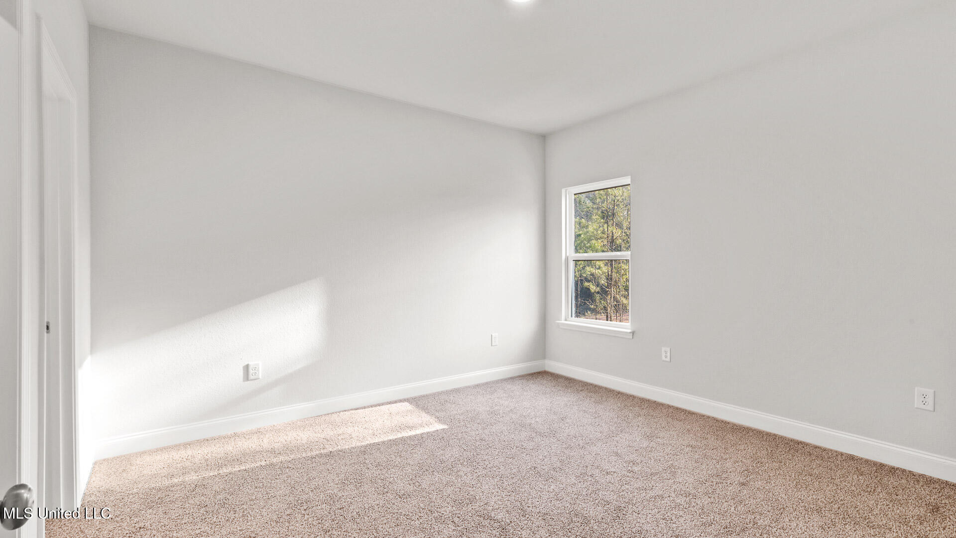 6640 Palm Pointe Drive Property Photo 15