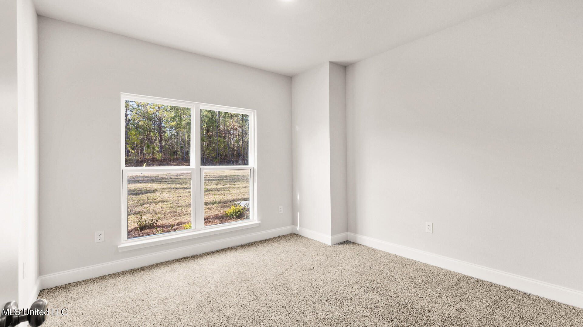 6640 Palm Pointe Drive Property Photo 21