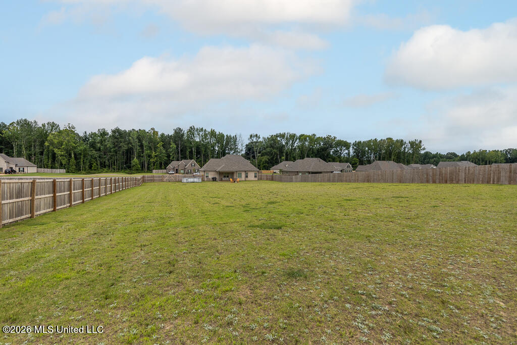 2407 Scott Meadows Lane Property Photo 37
