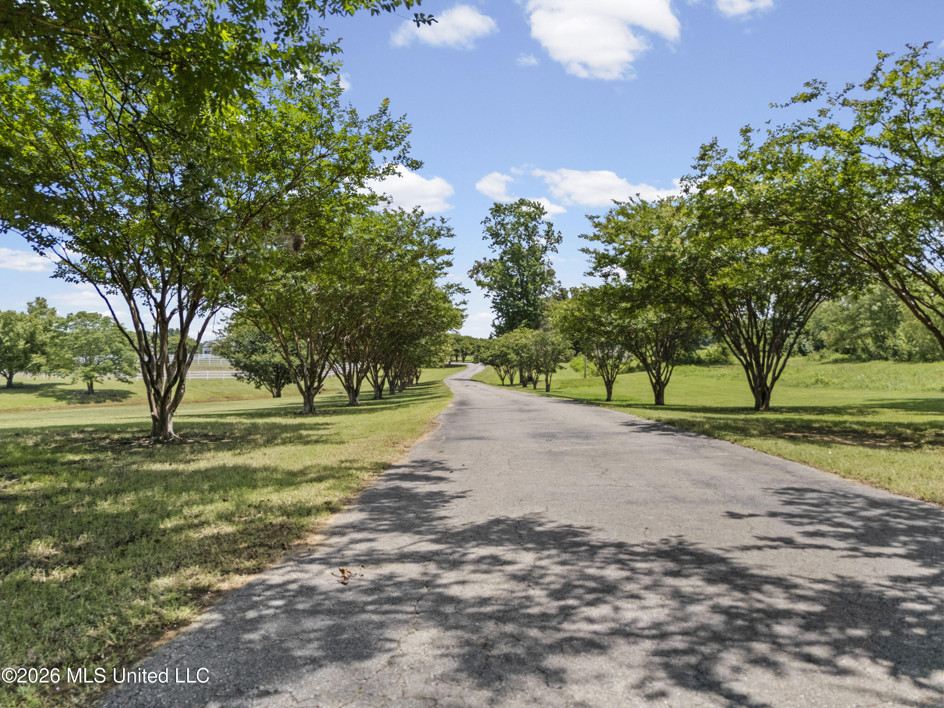 1646 Valentine Road Property Photo 76
