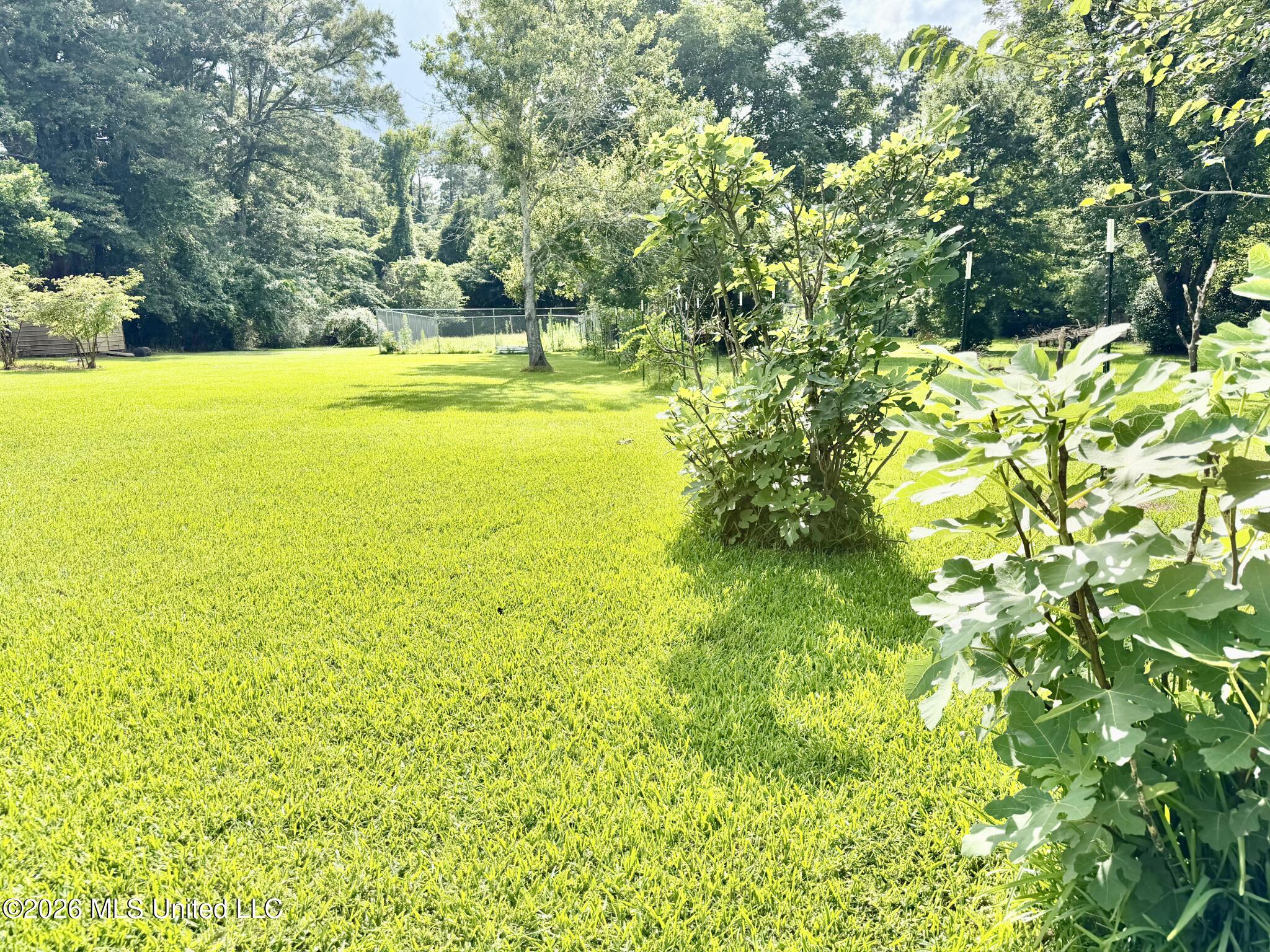 1640 Old Bay Springs Road Property Photo 46