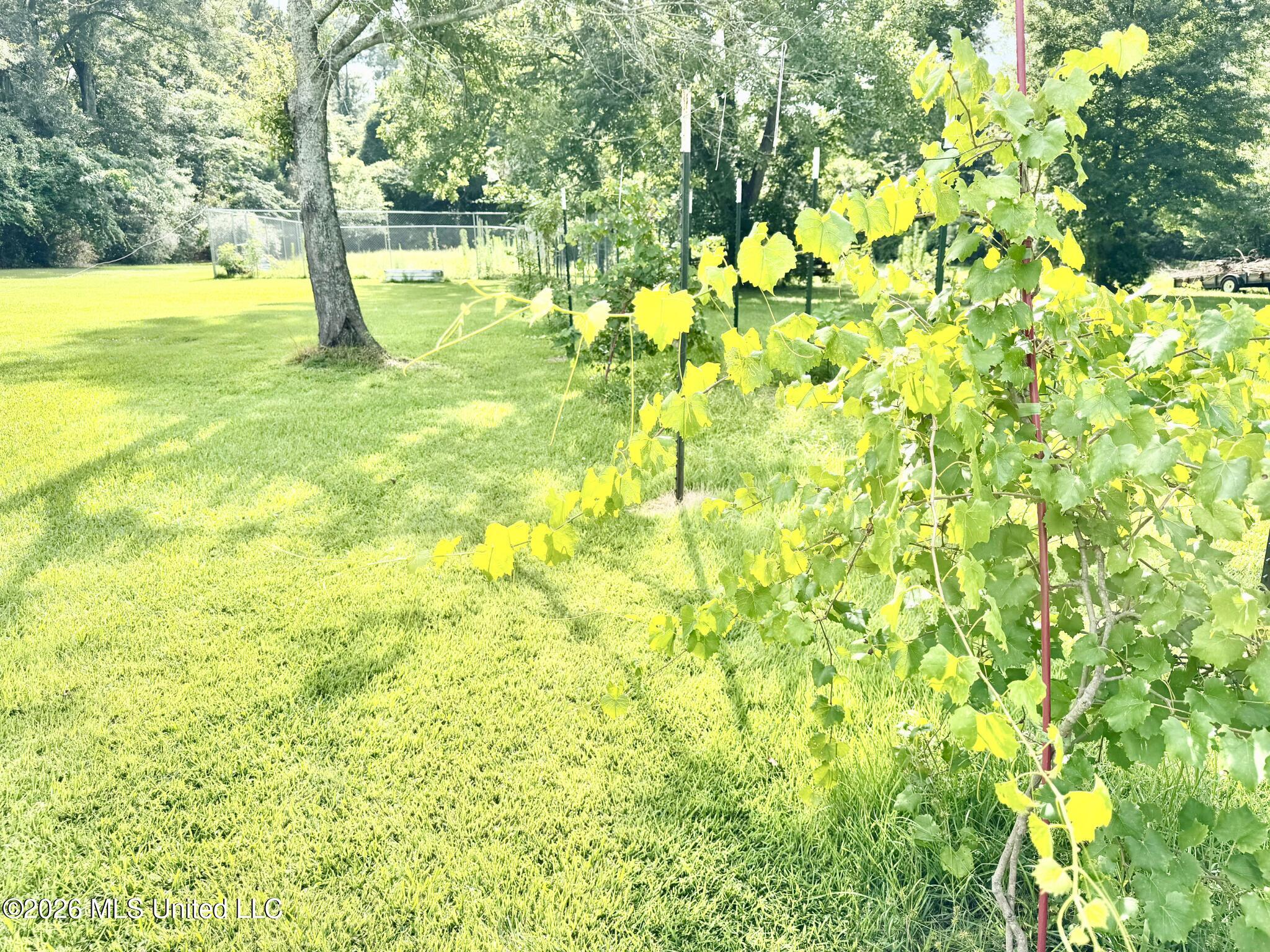 1640 Old Bay Springs Road Property Photo 47