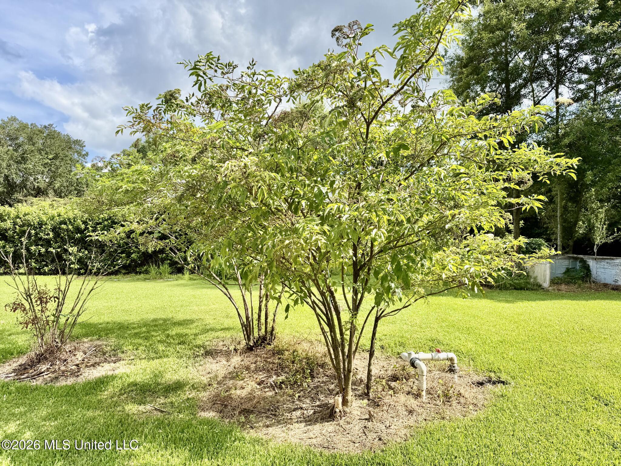 1640 Old Bay Springs Road Property Photo 48