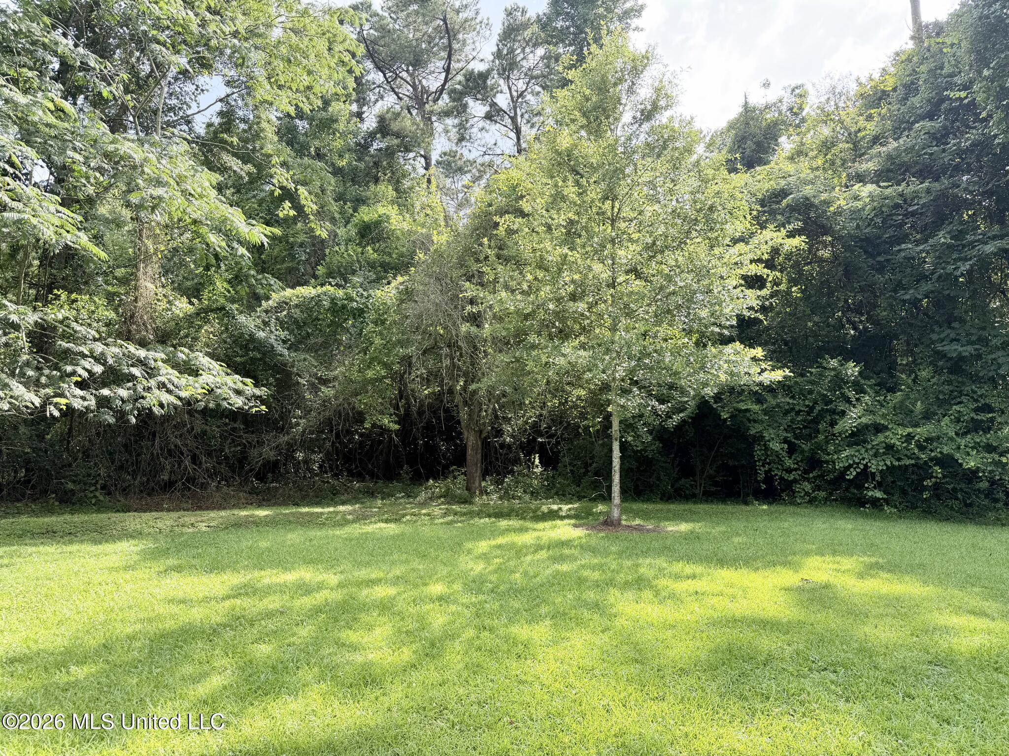 1640 Old Bay Springs Road Property Photo 50