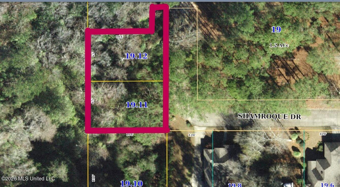 11 Shamroque Drive Property Photo 4