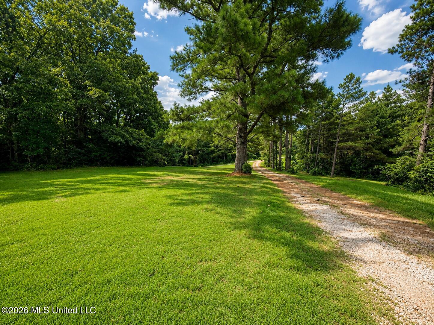 383 Dogwood Ranch Circle Property Photo 4