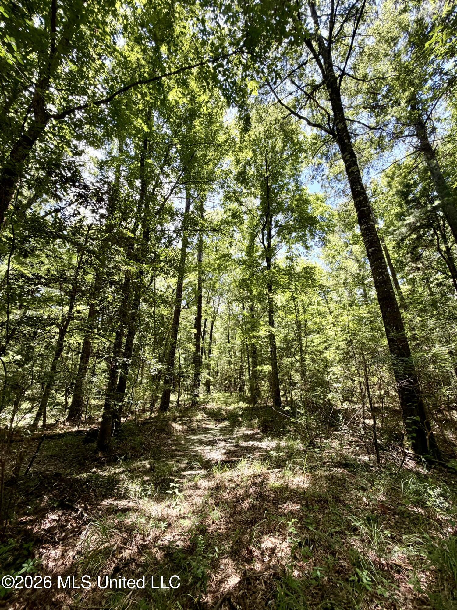 2497 Sw Linfrank Line Drive Property Photo 10