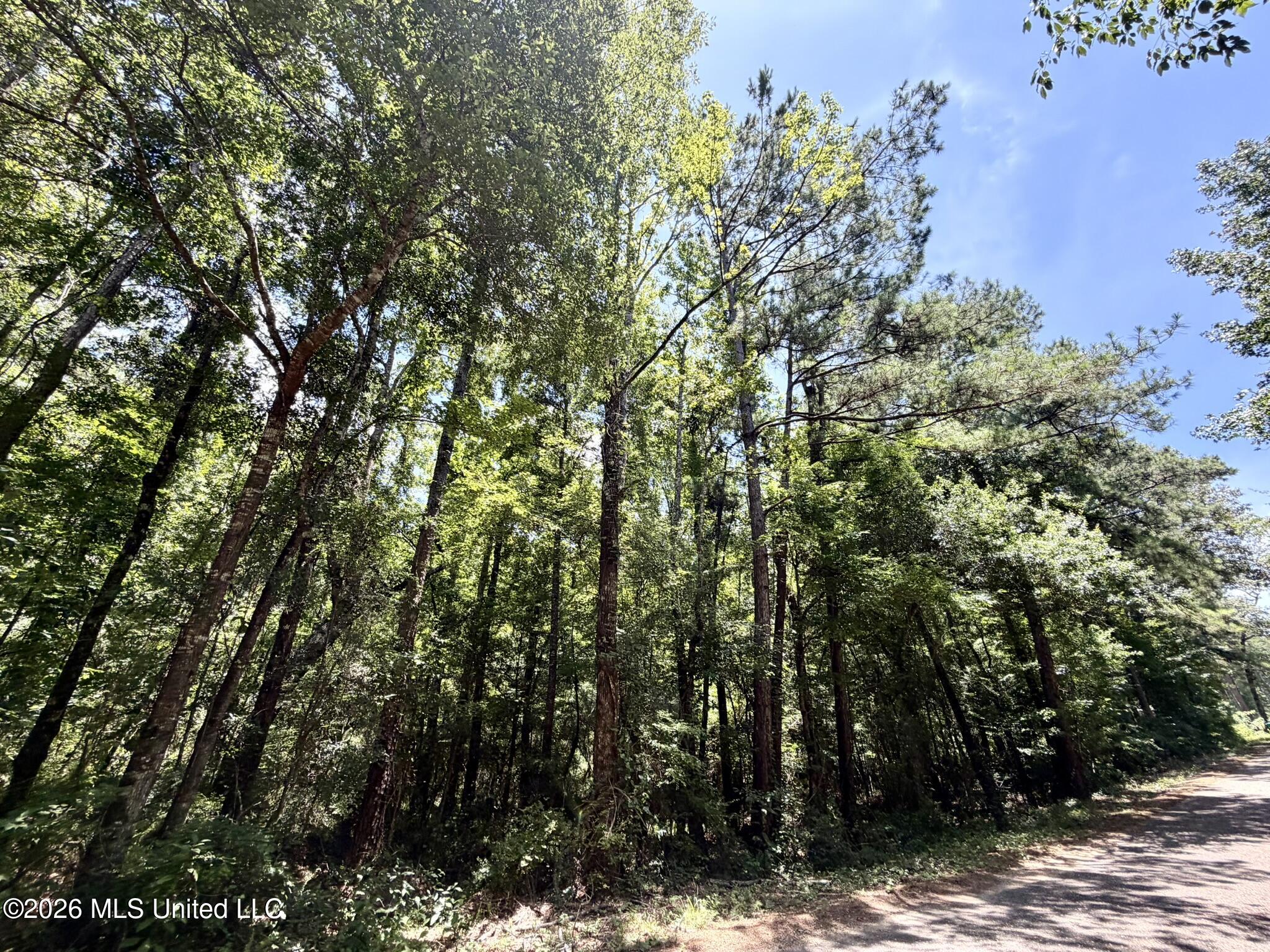 Sw Linfrank Line Drive Property Photo 1