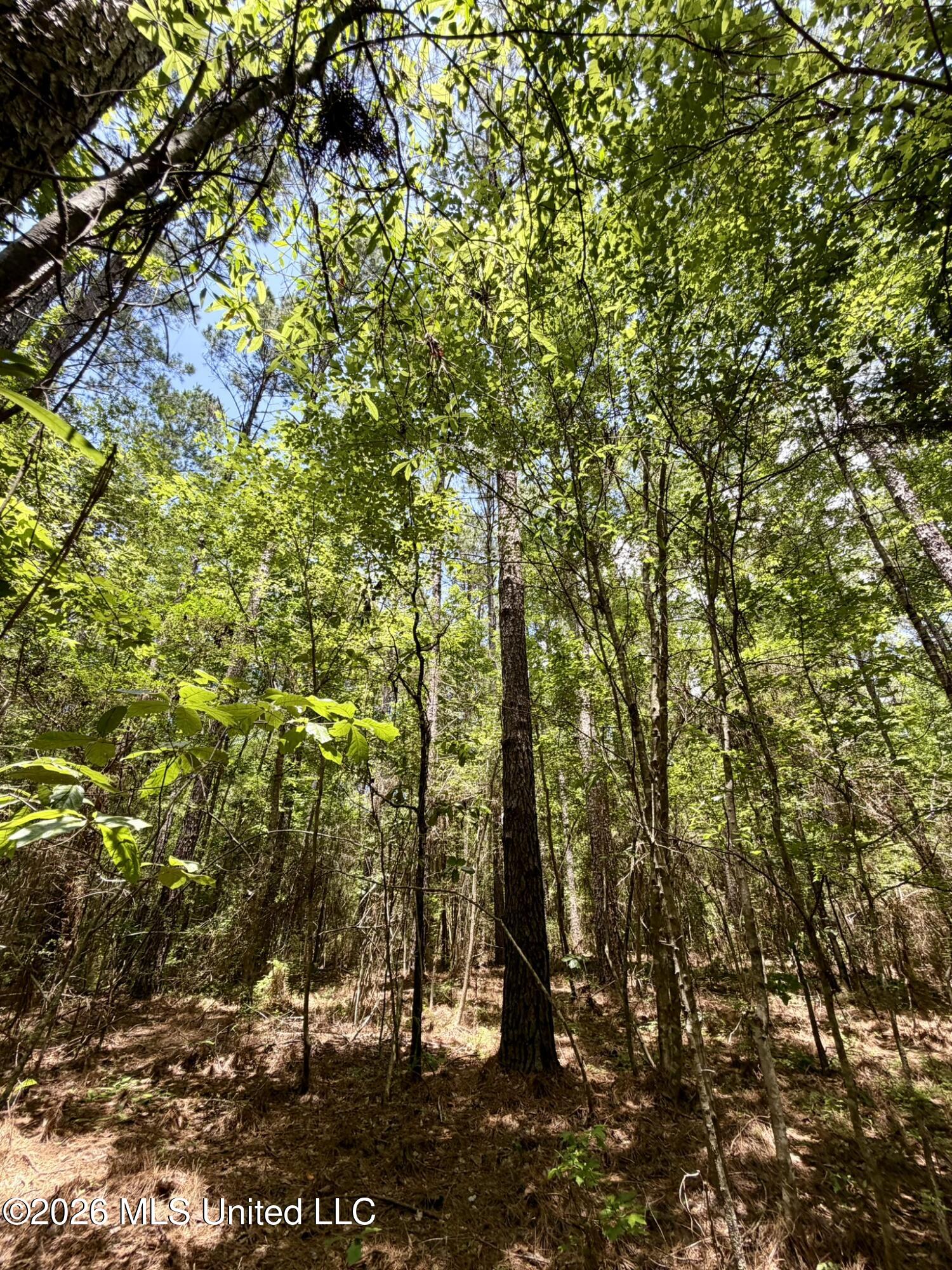 Sw Linfrank Line Drive Property Photo 4