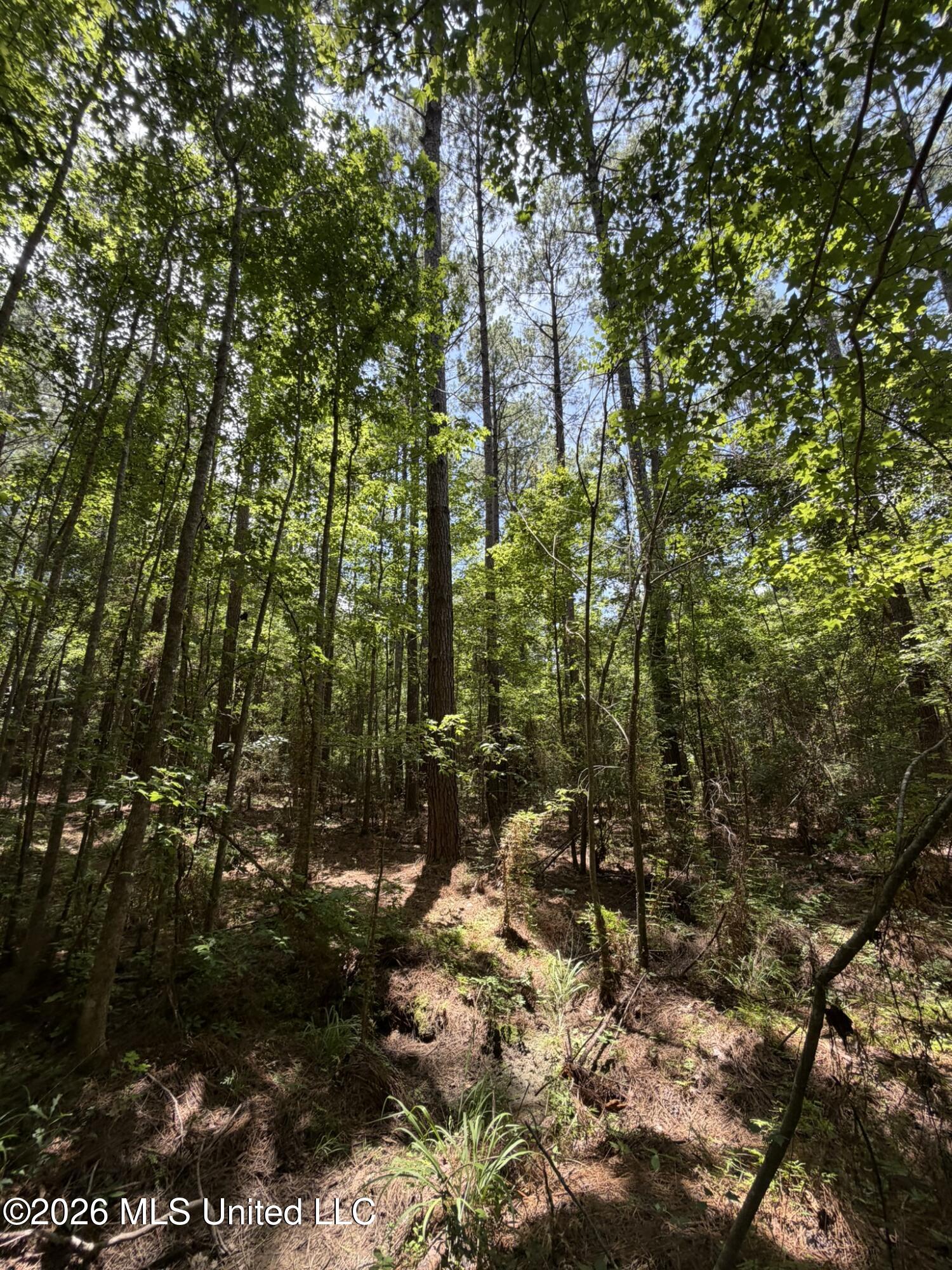 Sw Linfrank Line Drive Property Photo 6
