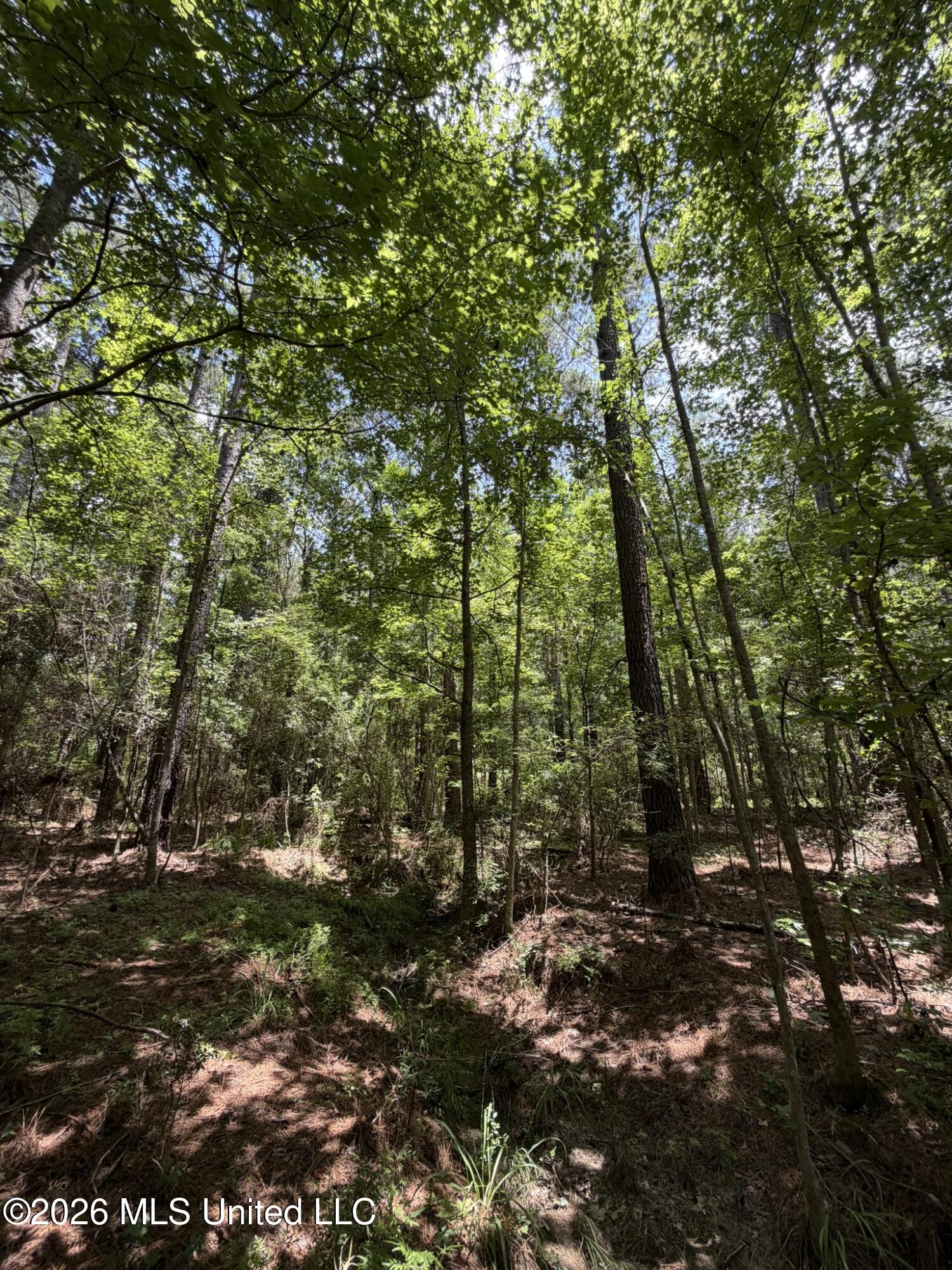Sw Linfrank Line Drive Property Photo 8