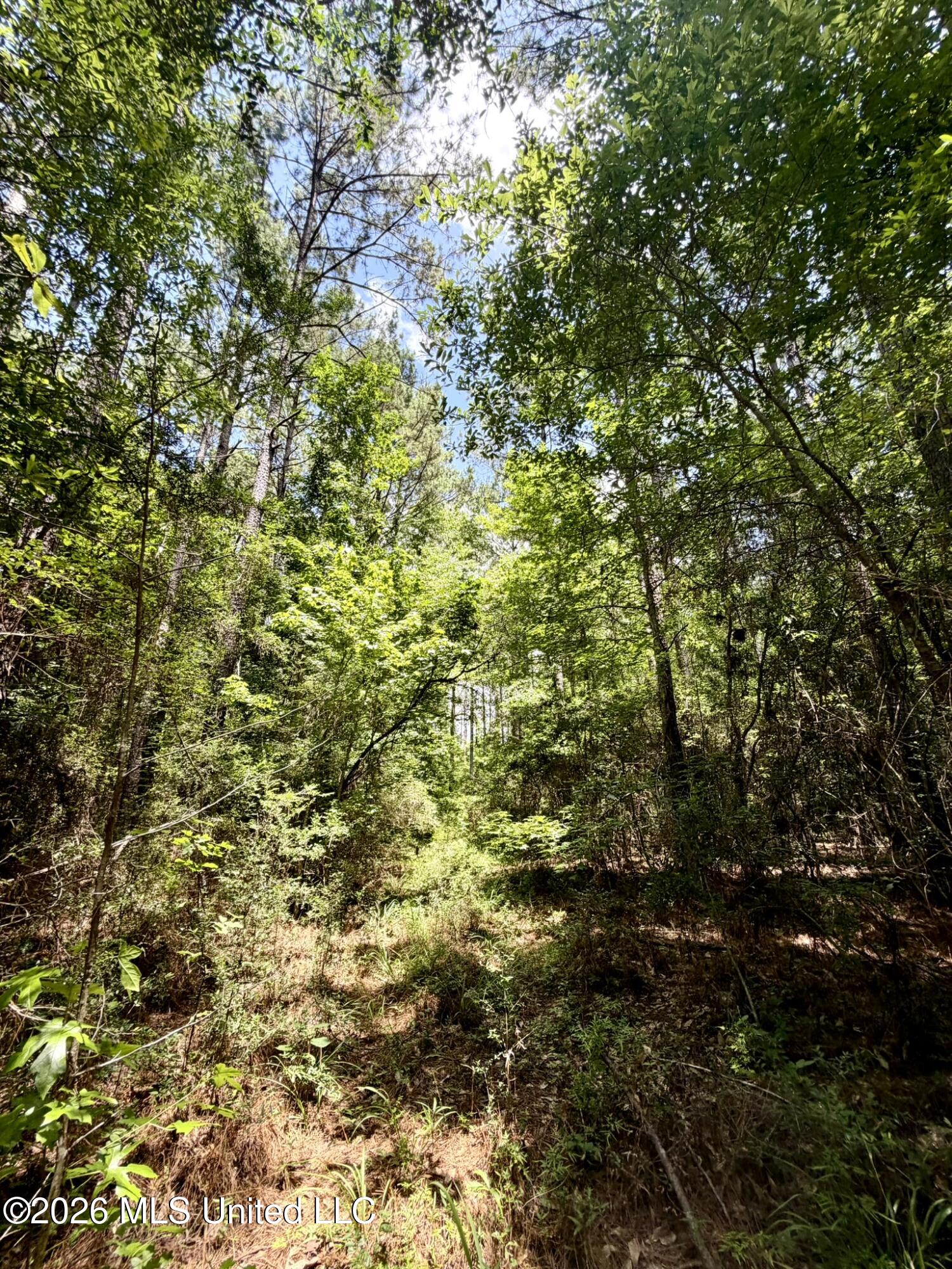 Sw Linfrank Line Drive Property Photo 9