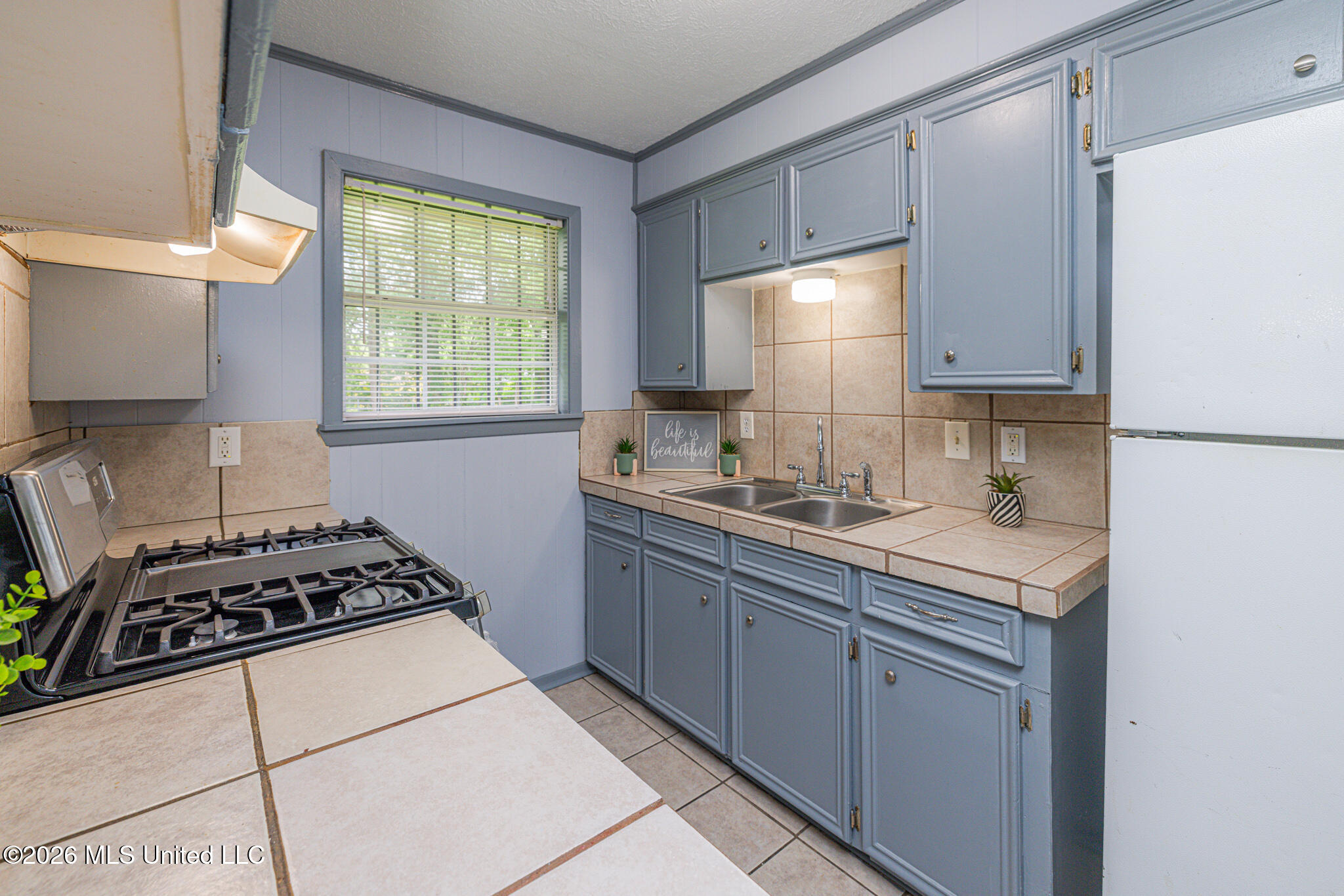 253 Rutherford B Hayes Circle Property Photo 14