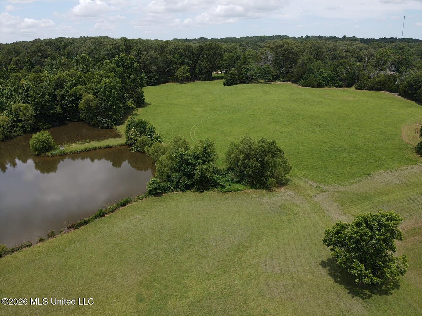 1321 Purvis Lane Property Photo 17