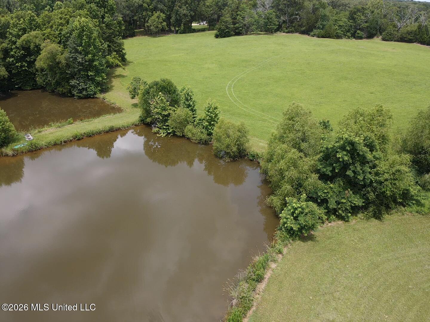 1321 Purvis Lane Property Photo 23