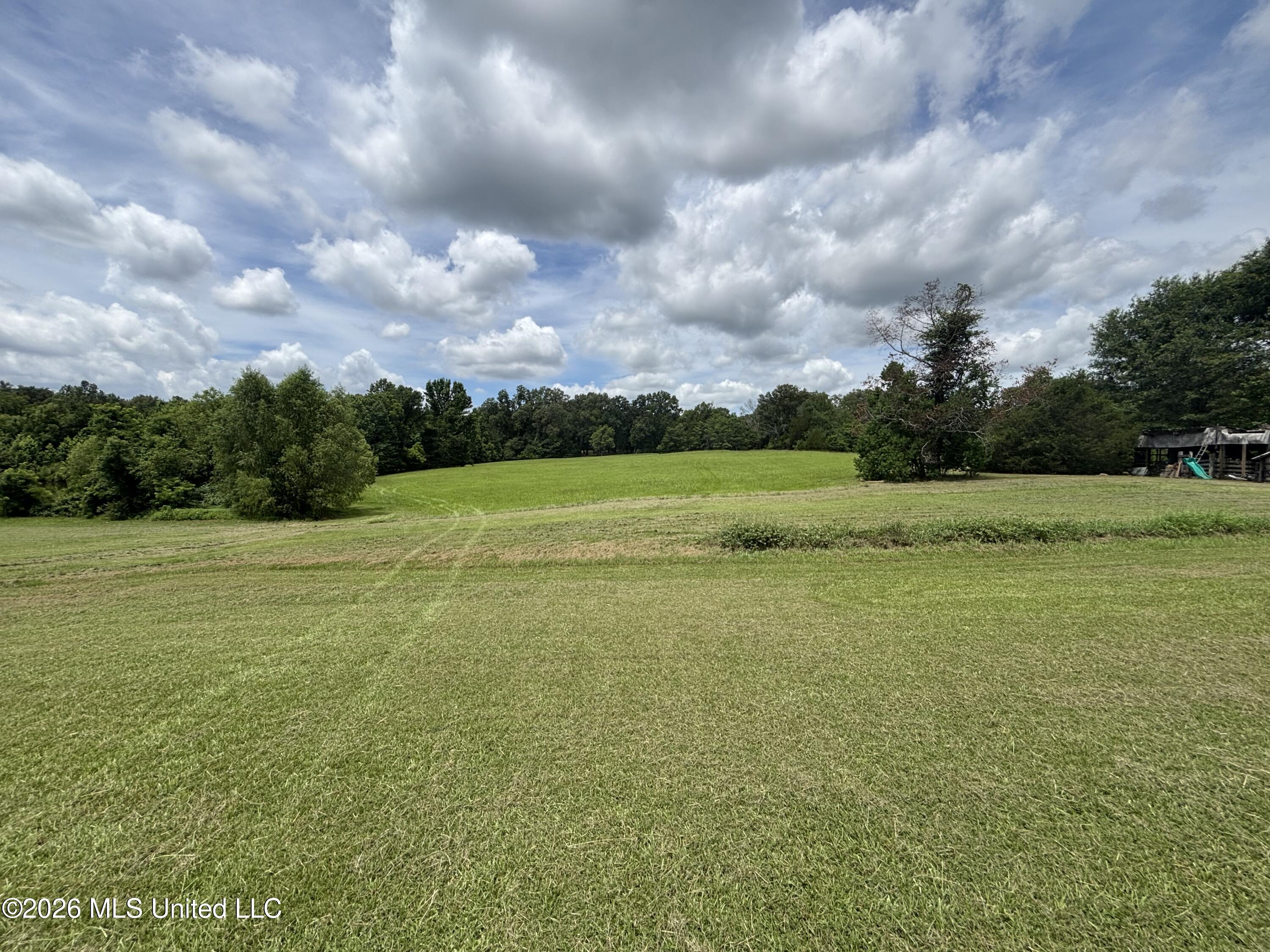 1321 Purvis Lane Property Photo 28
