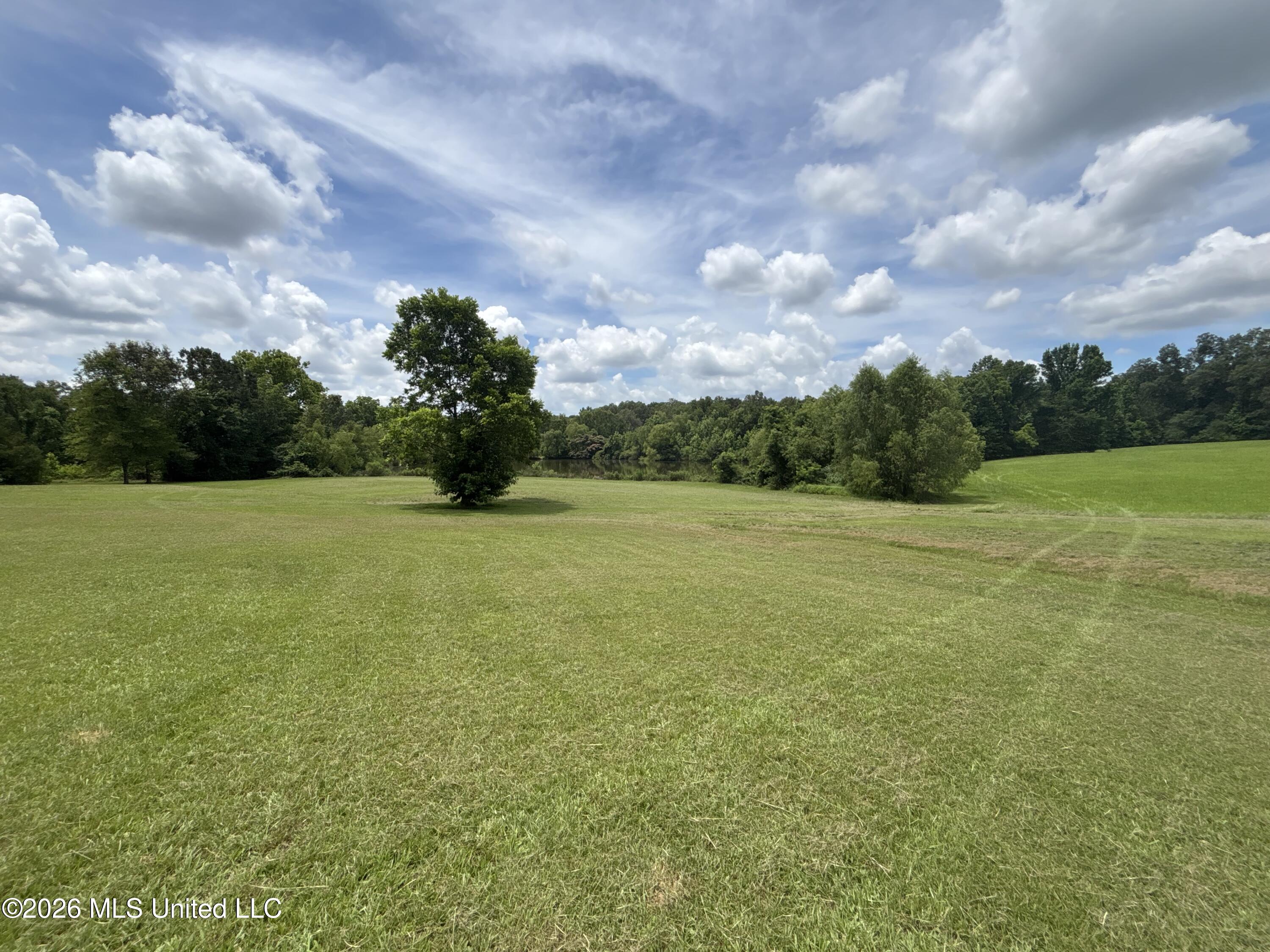 1321 Purvis Lane Property Photo 31