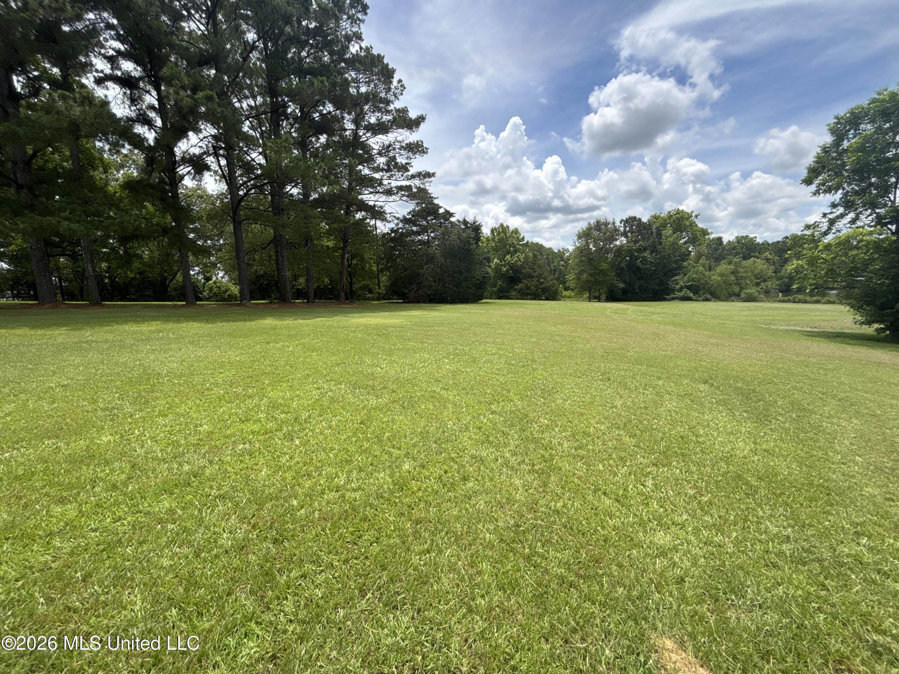 1321 Purvis Lane Property Photo 32