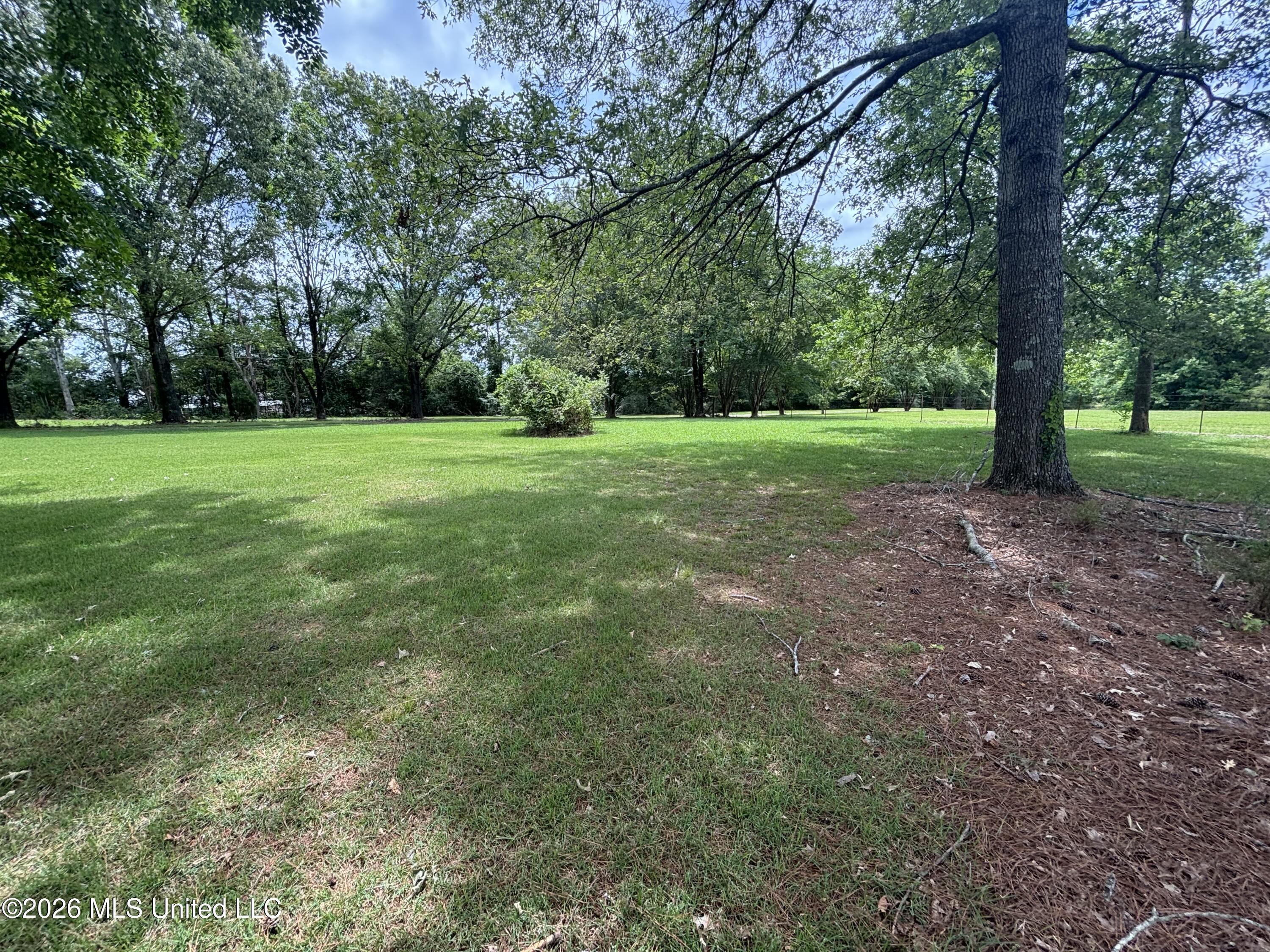 1321 Purvis Lane Property Photo 33