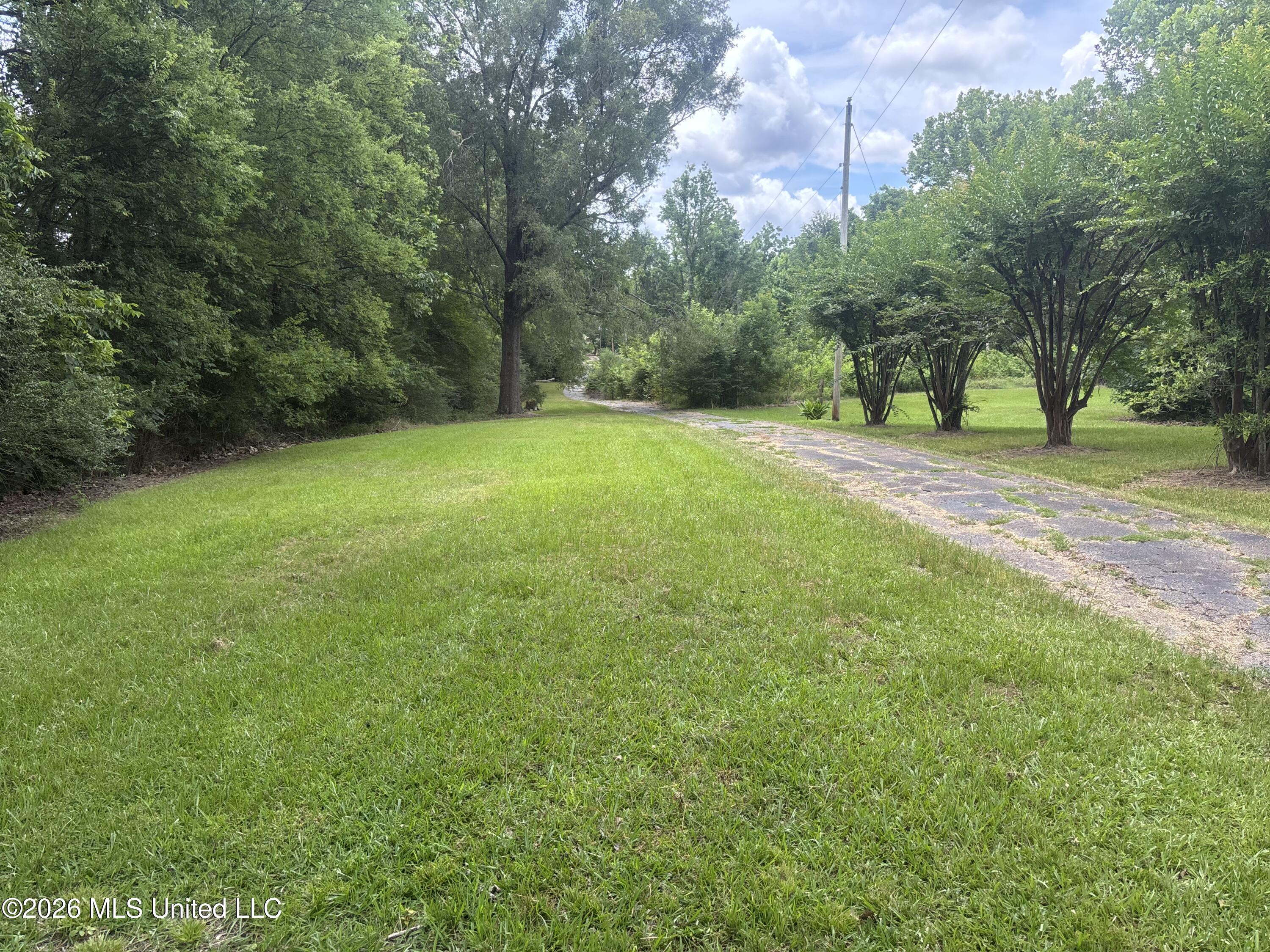 1321 Purvis Lane Property Photo 37