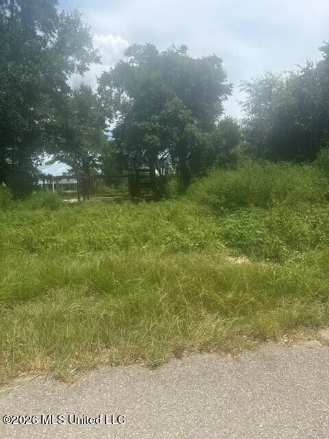 10028 E Bayou Road Property Photo 2