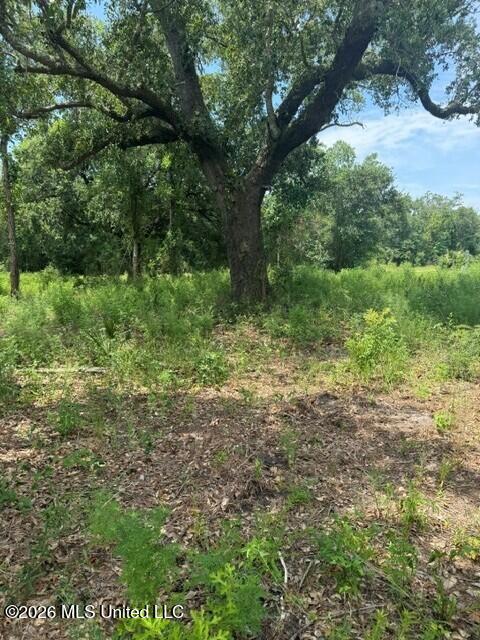10028 E Bayou Road Property Photo 6