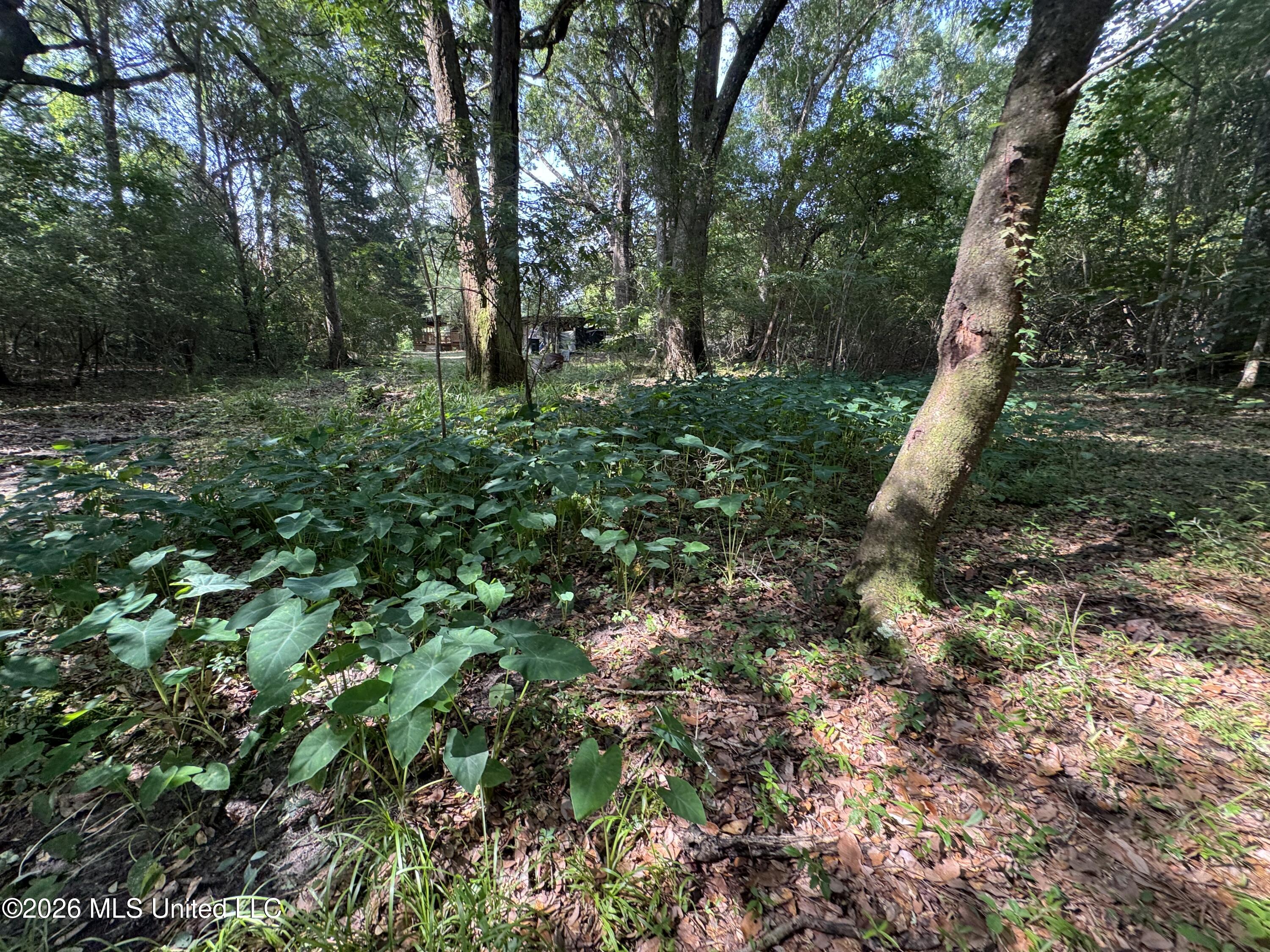 2980 Dwyer Branch Road Property Photo 9
