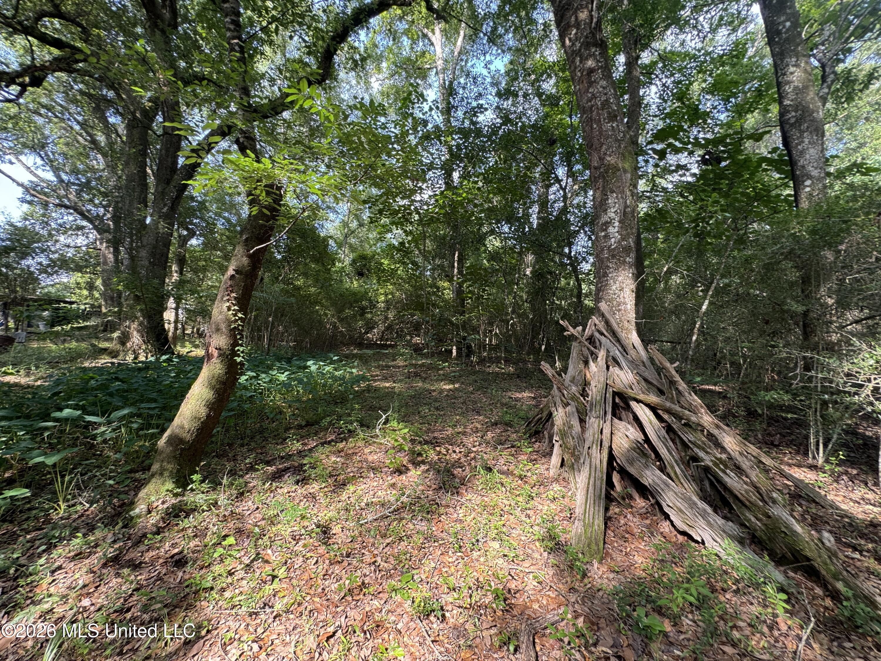 2980 Dwyer Branch Road Property Photo 10
