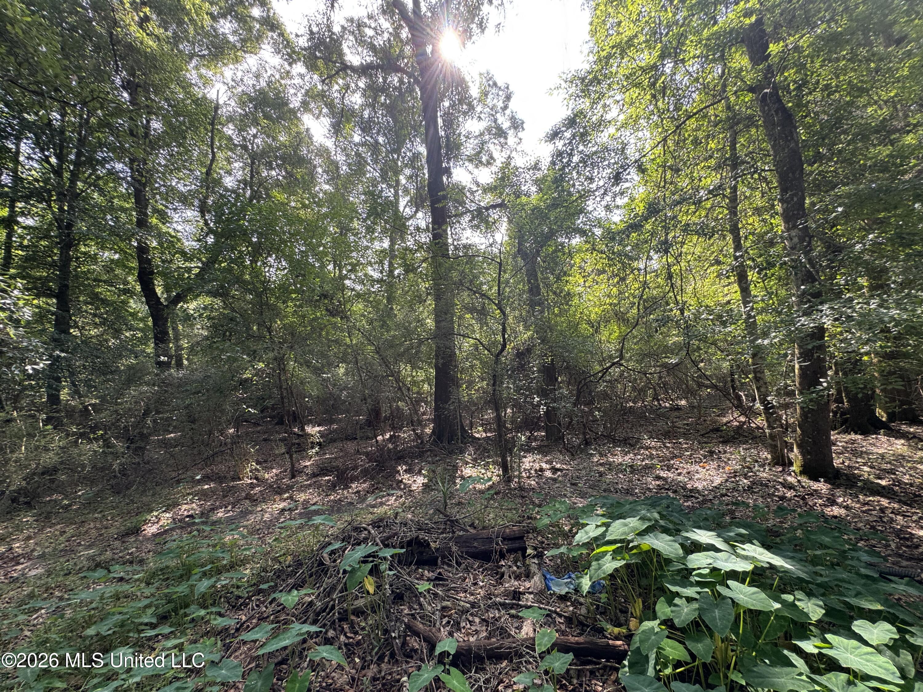 2980 Dwyer Branch Road Property Photo 11