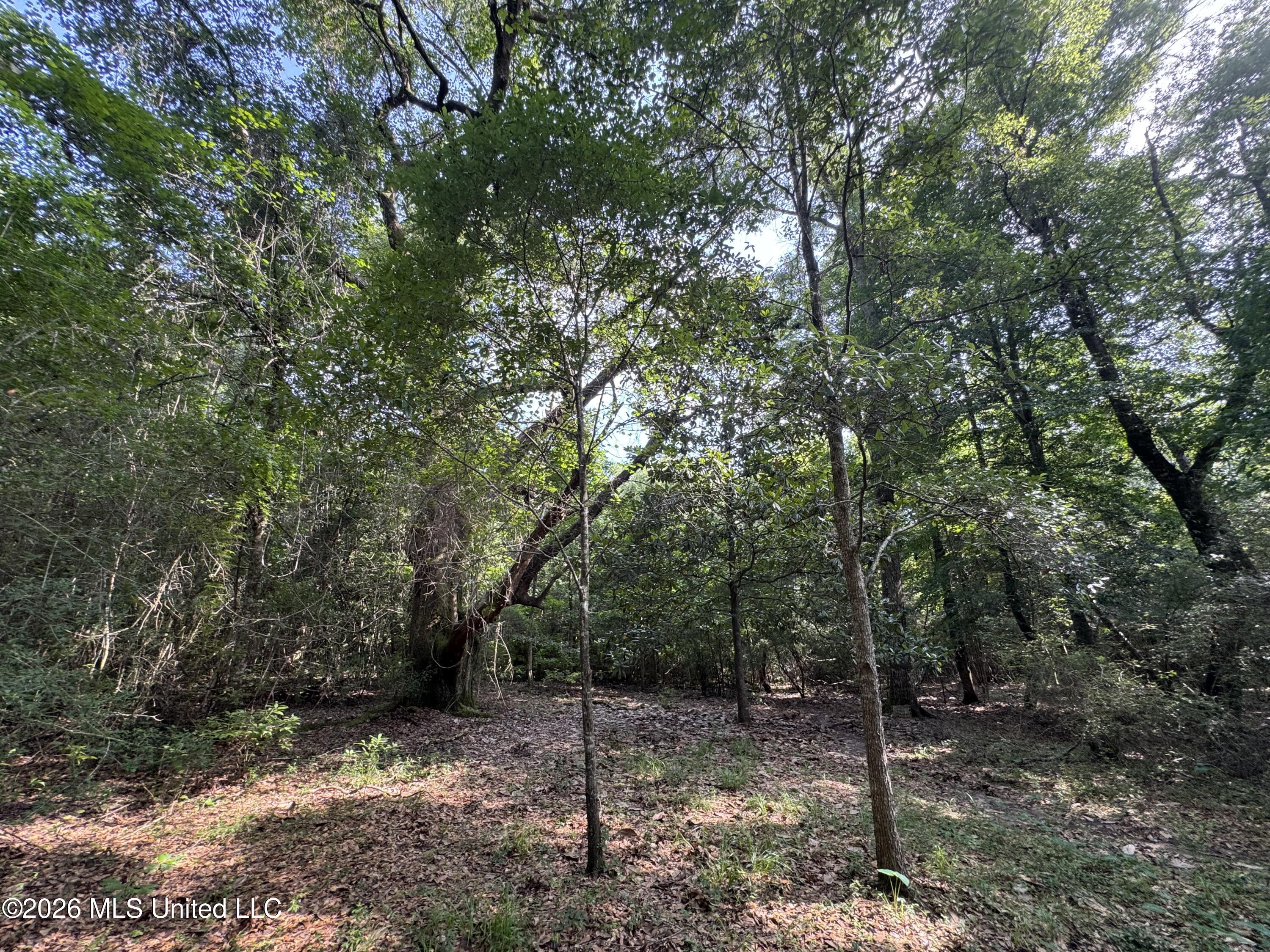 2980 Dwyer Branch Road Property Photo 12
