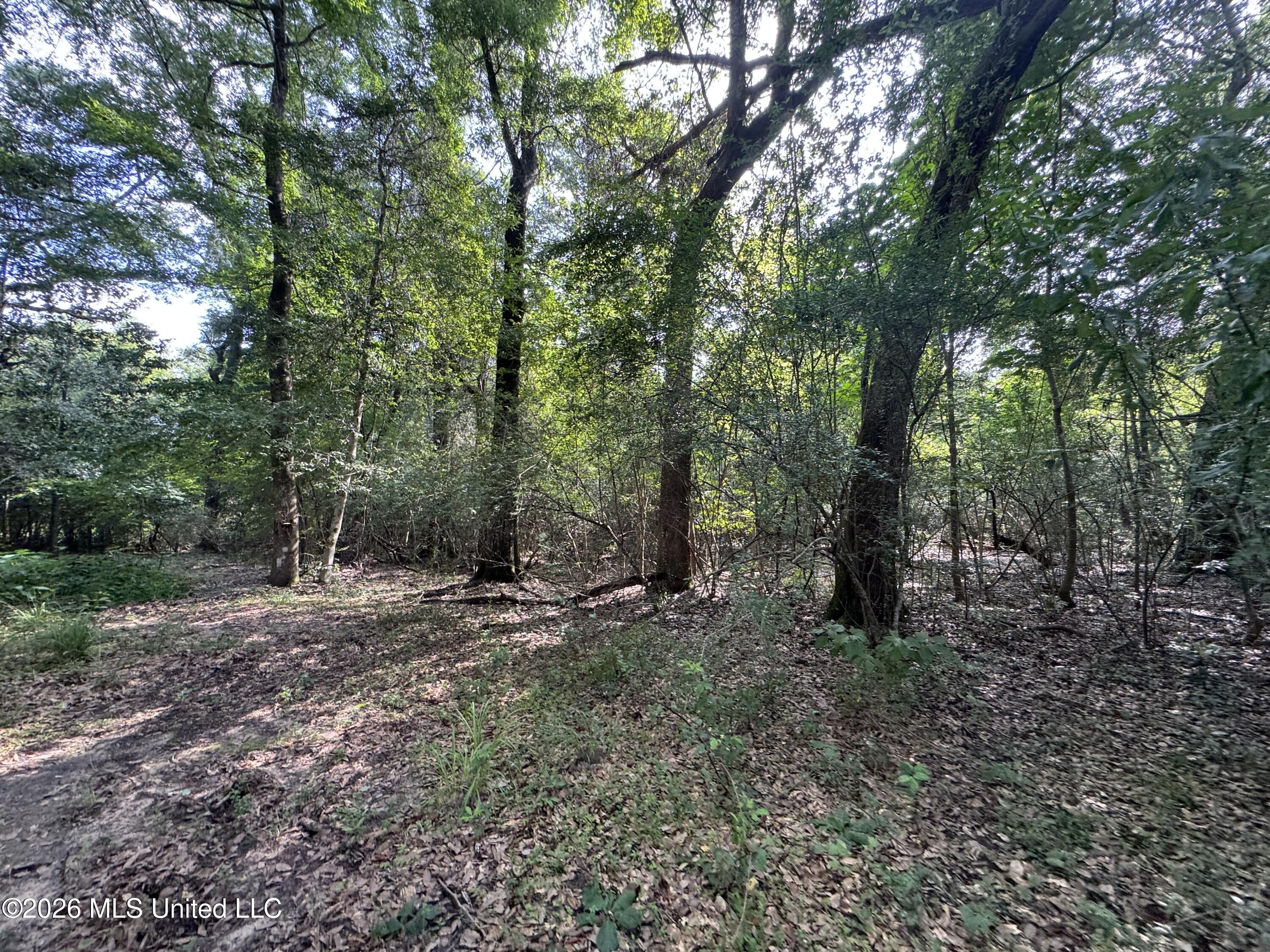 2980 Dwyer Branch Road Property Photo 14